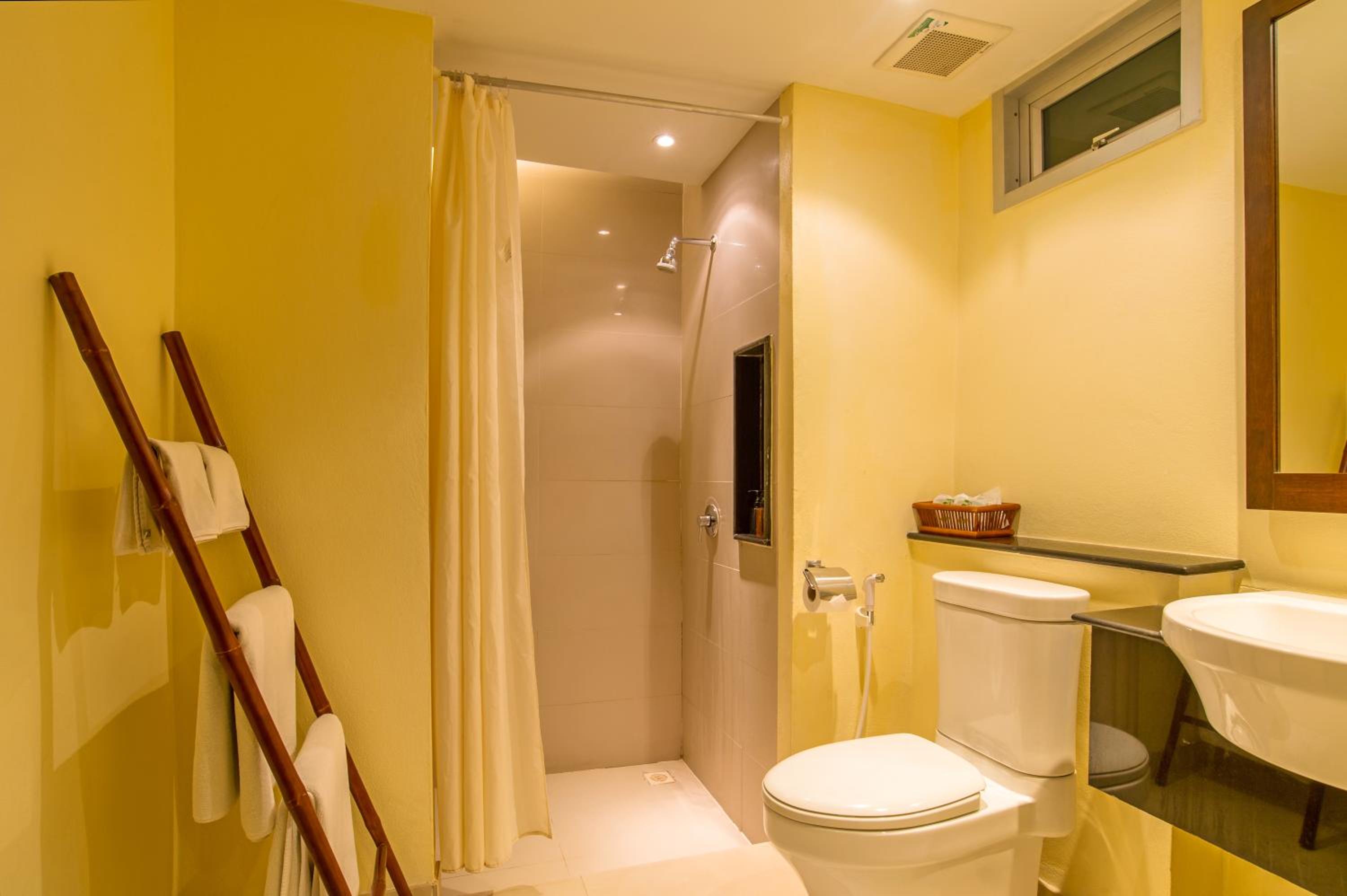 Deluxe Double or Twin Room photo 3