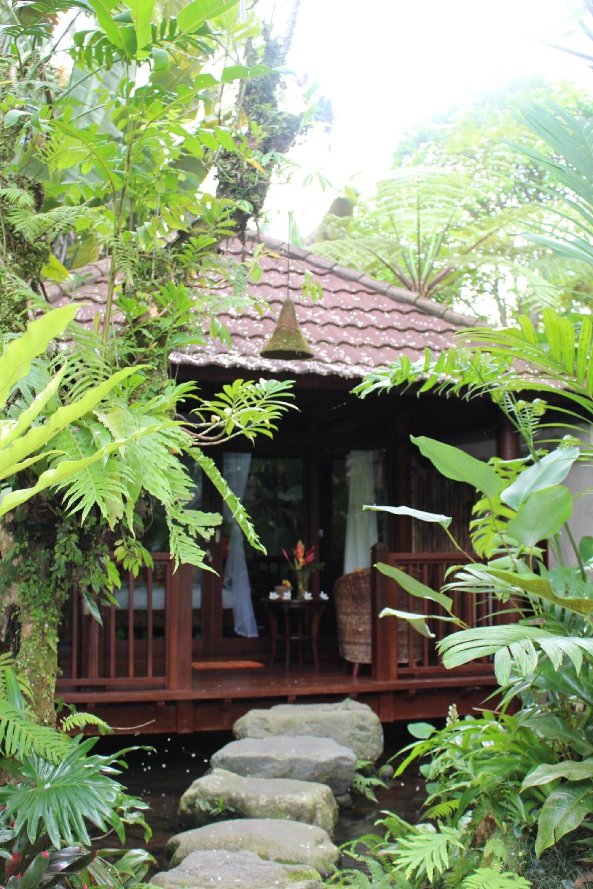 Orange Orchid Room - Photo 12