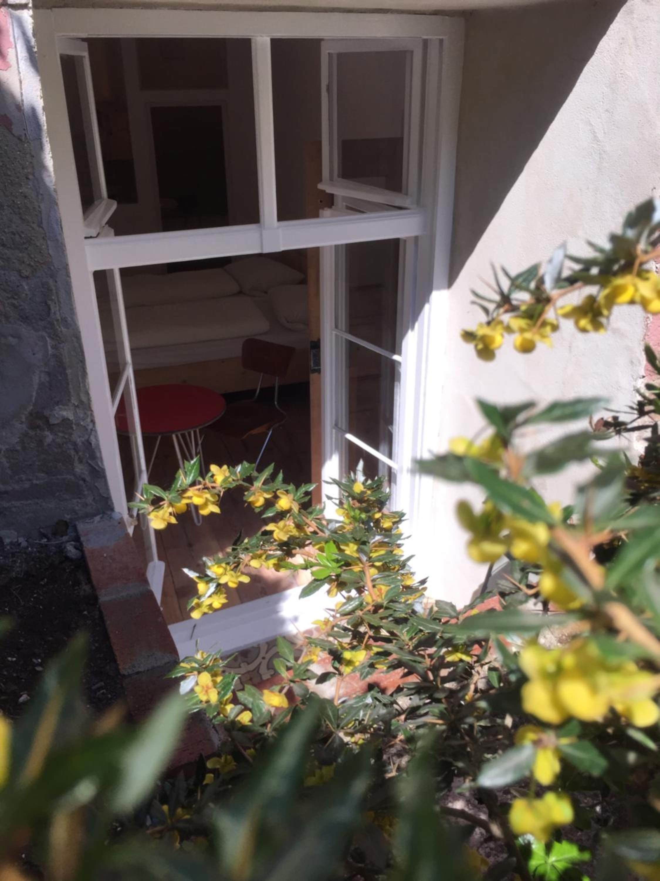 Studio with Terrace photo 2