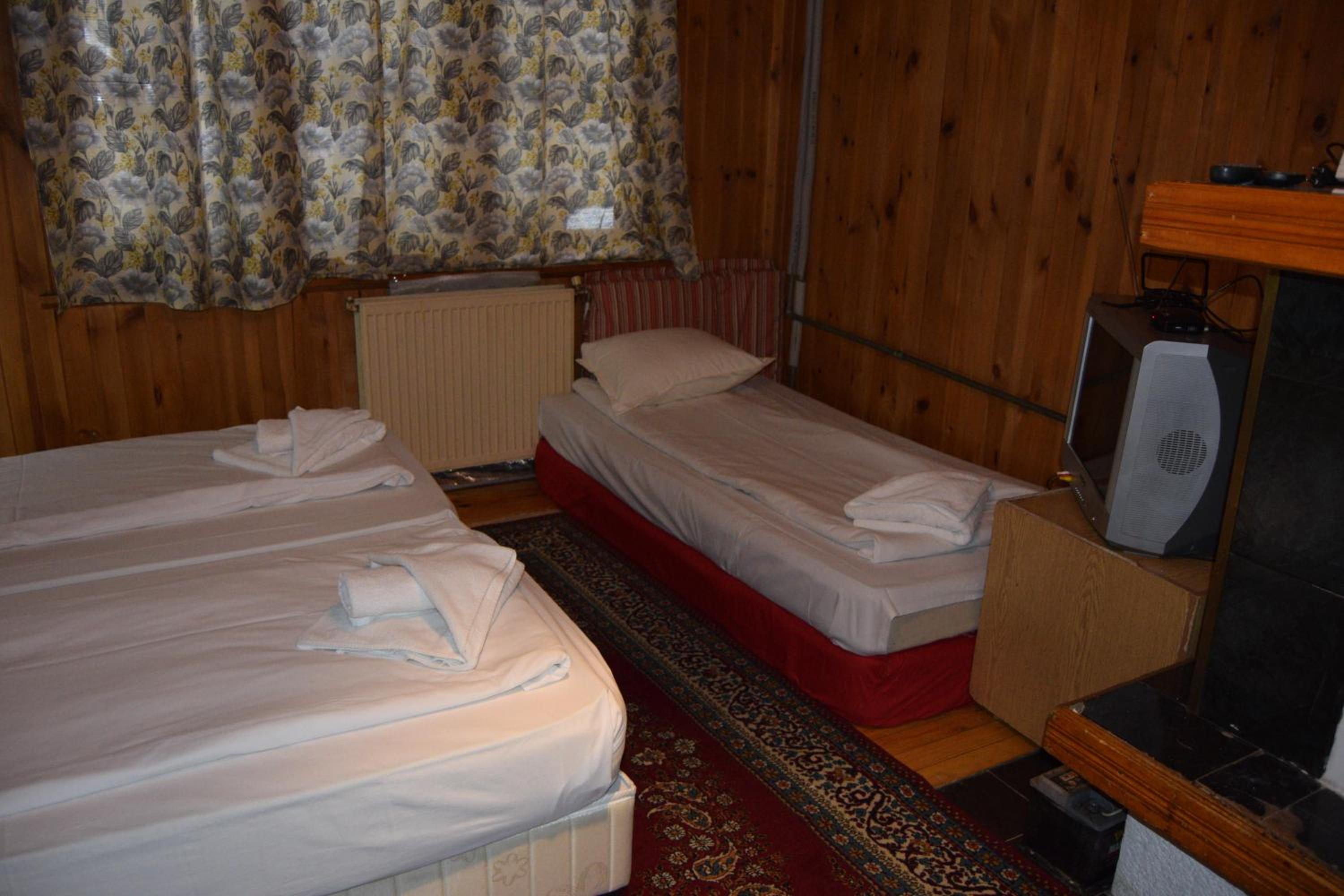 Three-Bedroom Villa - Photo 4