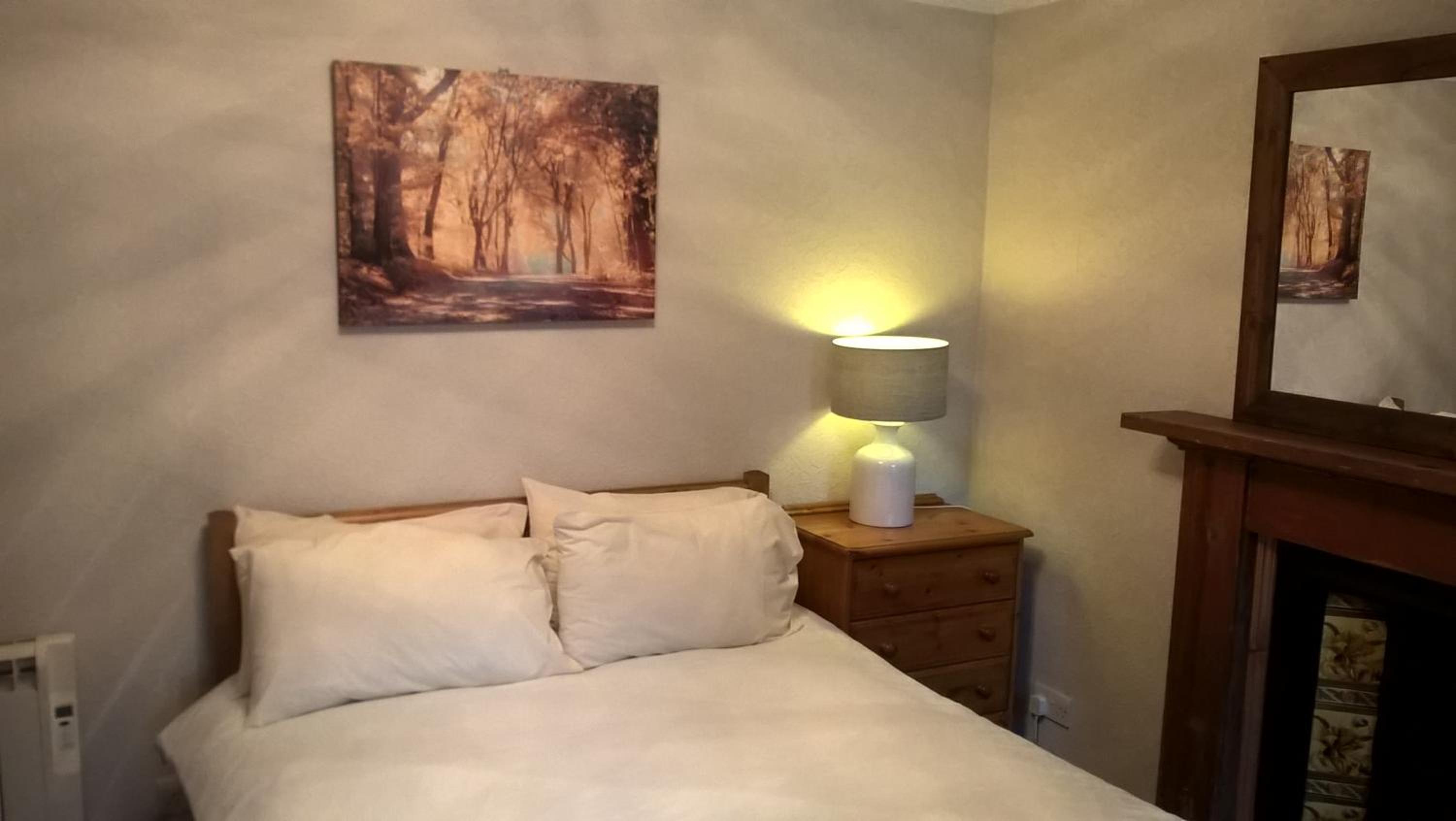 Luxury One-Bedroom Apartment photo 3