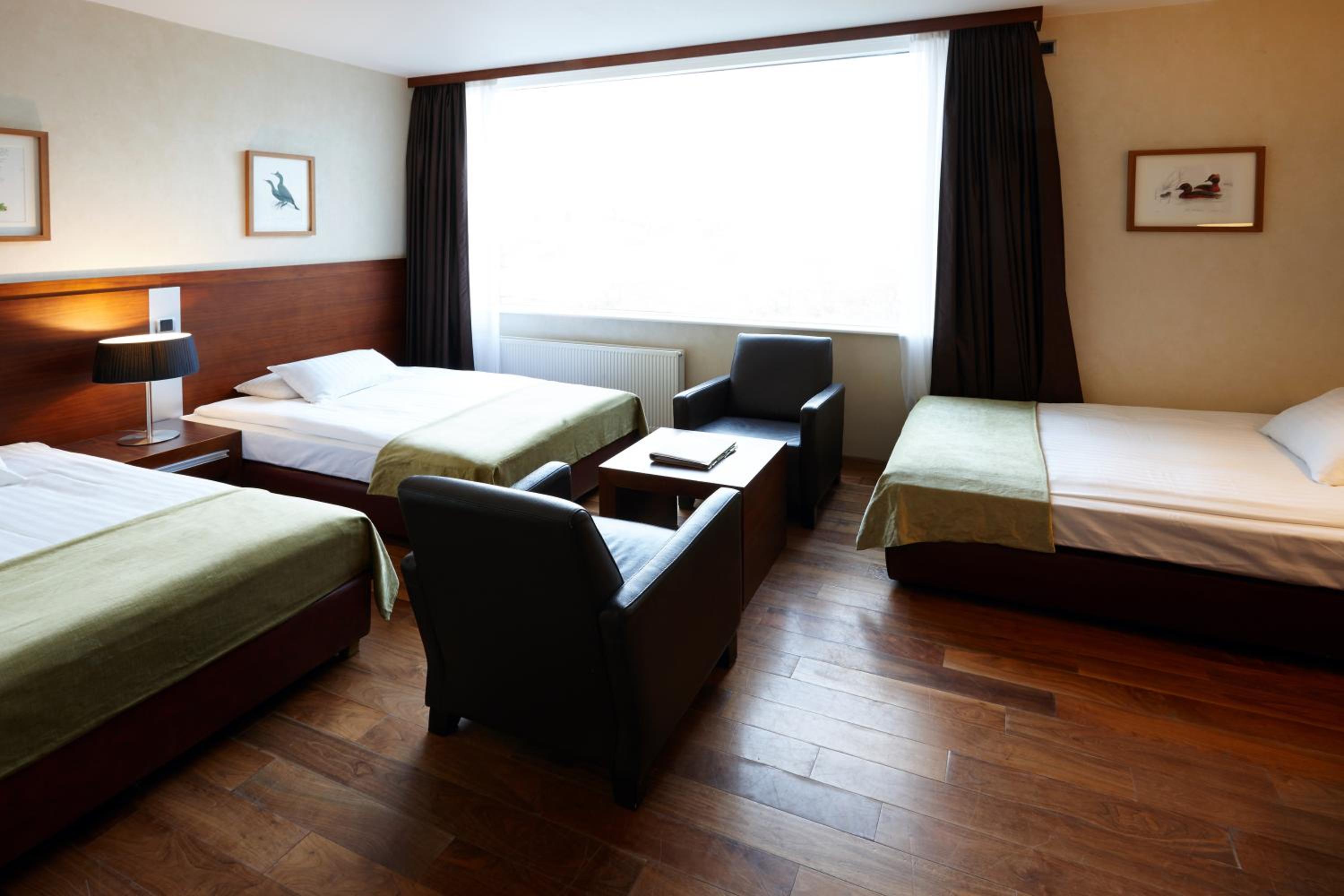 Relax and unwind in this spacious hotel room.