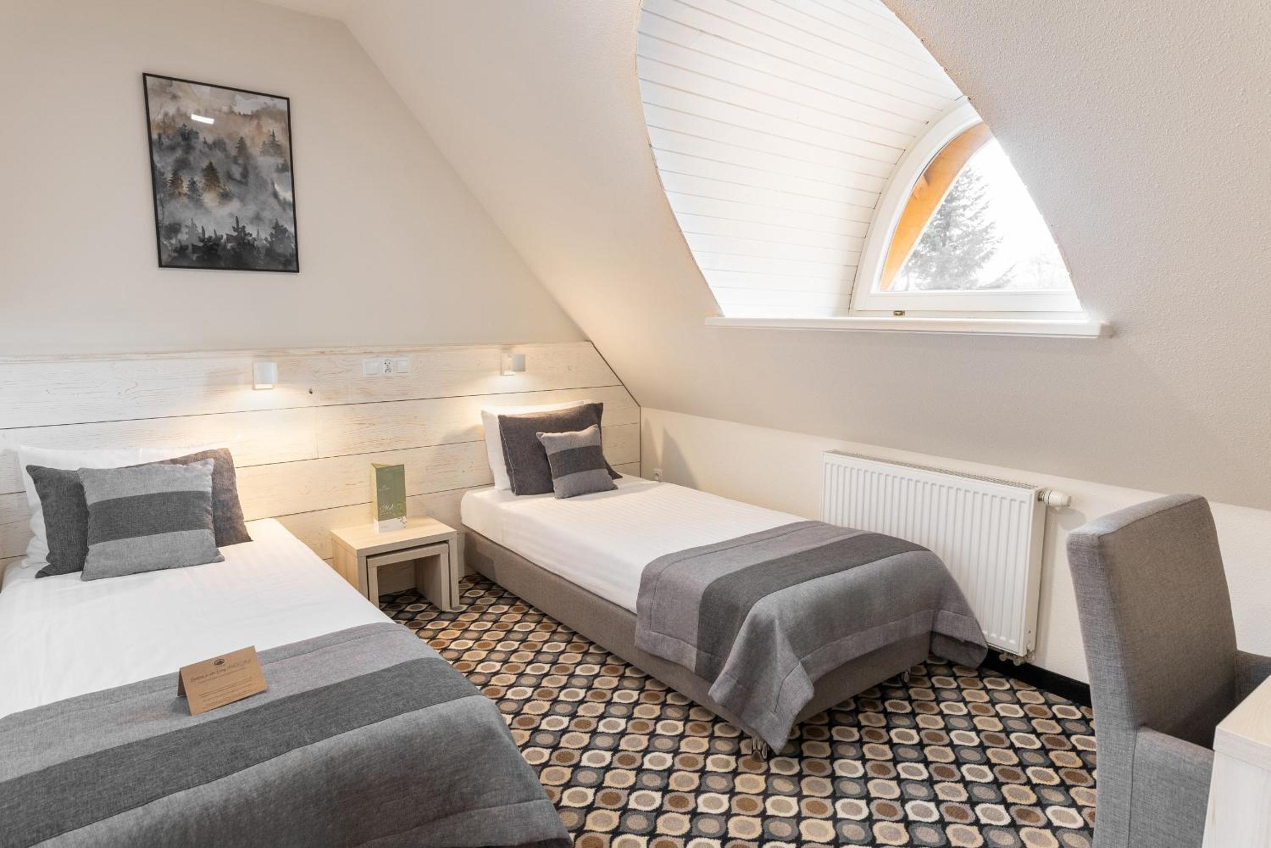 Small Twin Room in Villa Kocierz - separate building