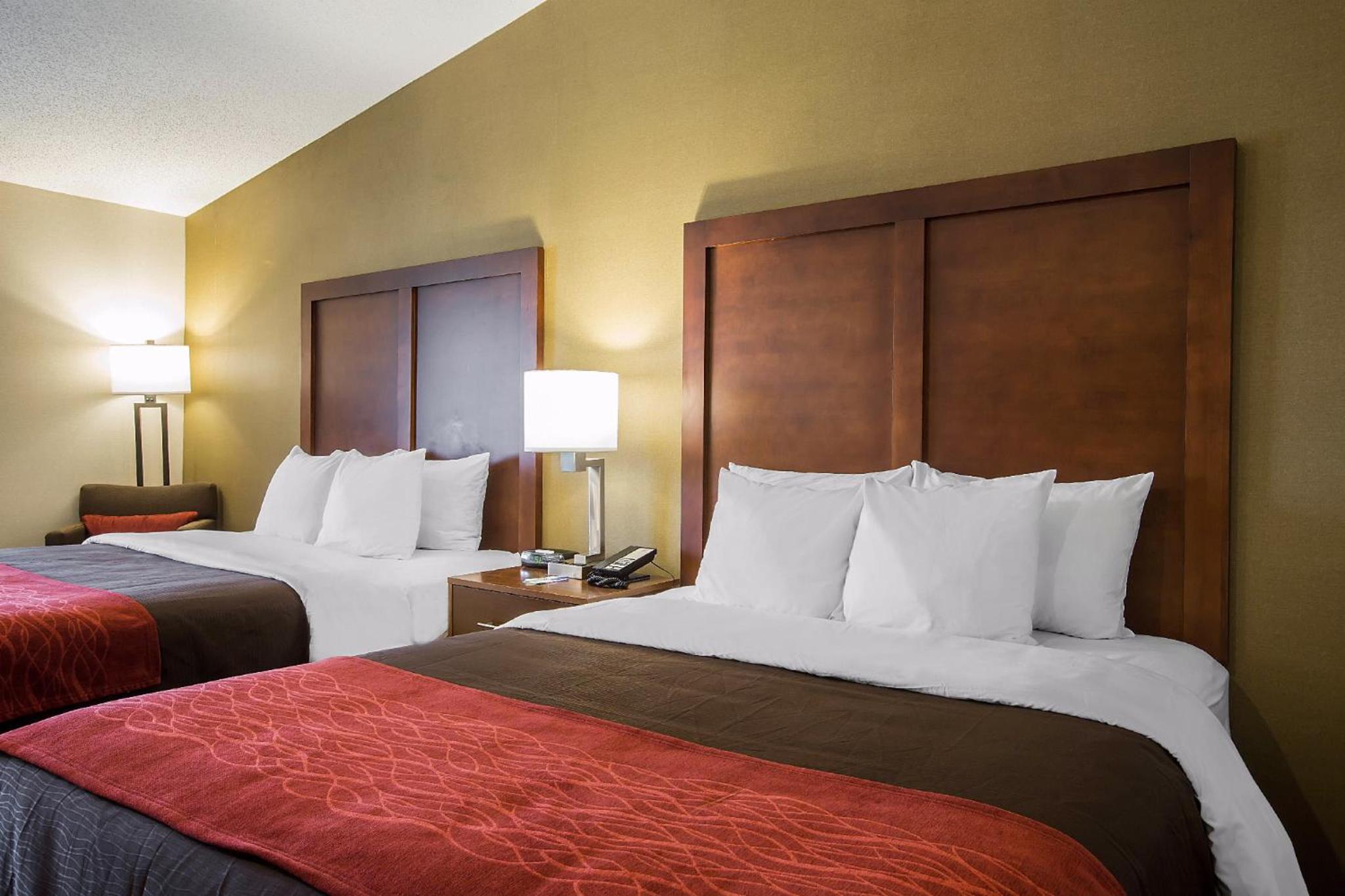 Queen Room with Two Queen Beds - Disability Access/Non-Smoking photo 3
