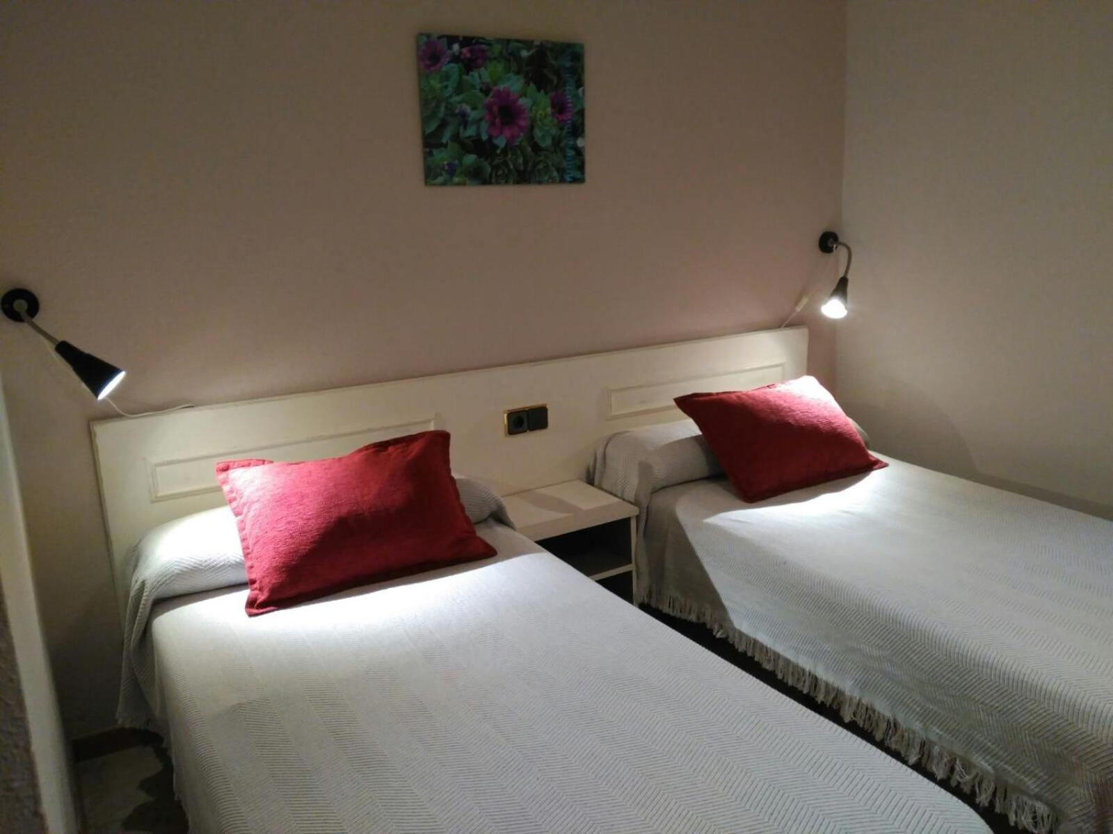 Twin Room photo 2