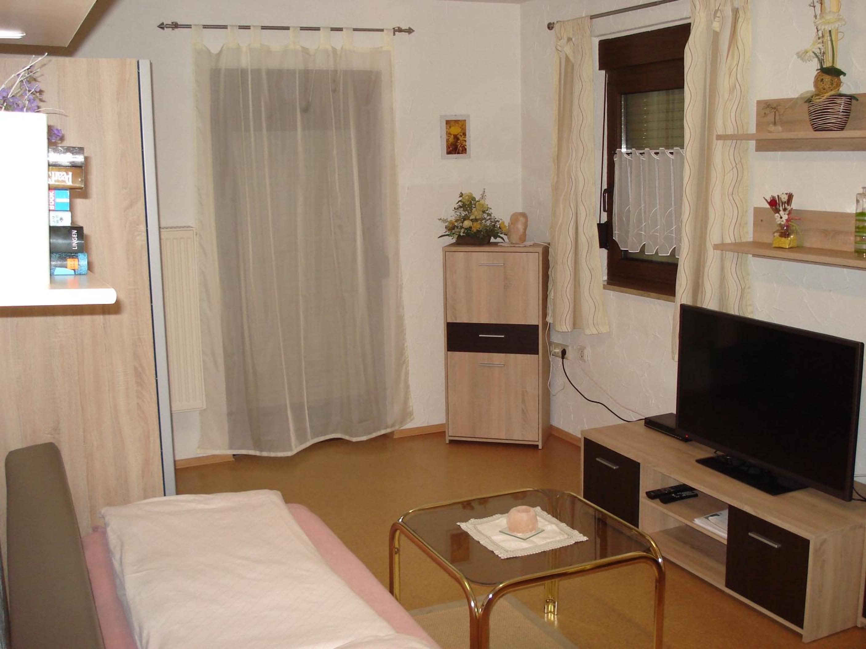 Apartment with Mountain View photo 1