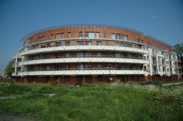 Studio with Terrace photo 2