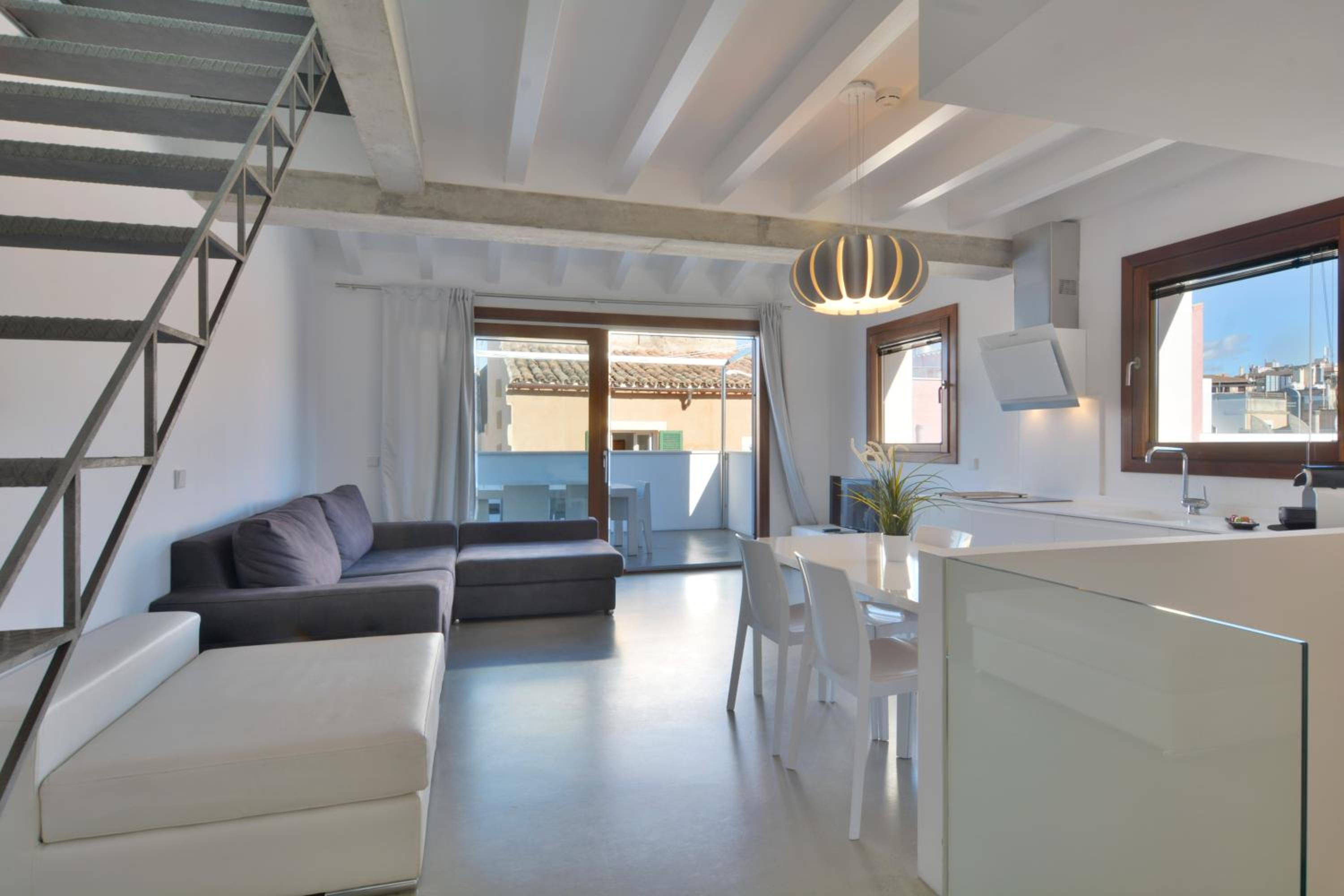 Apartamento de Dos Habitaciones Clásico con Terraza