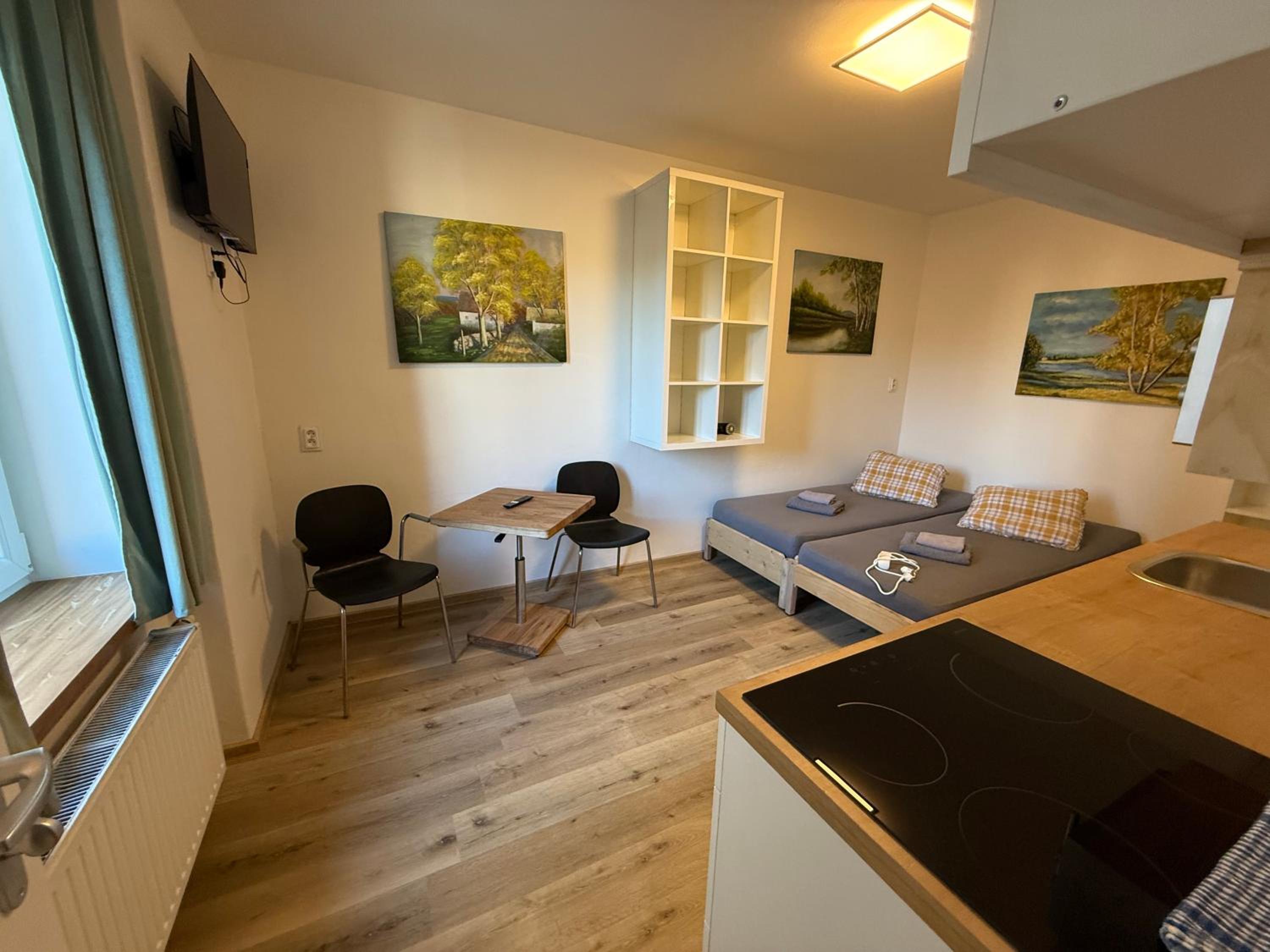 Studio Apartment