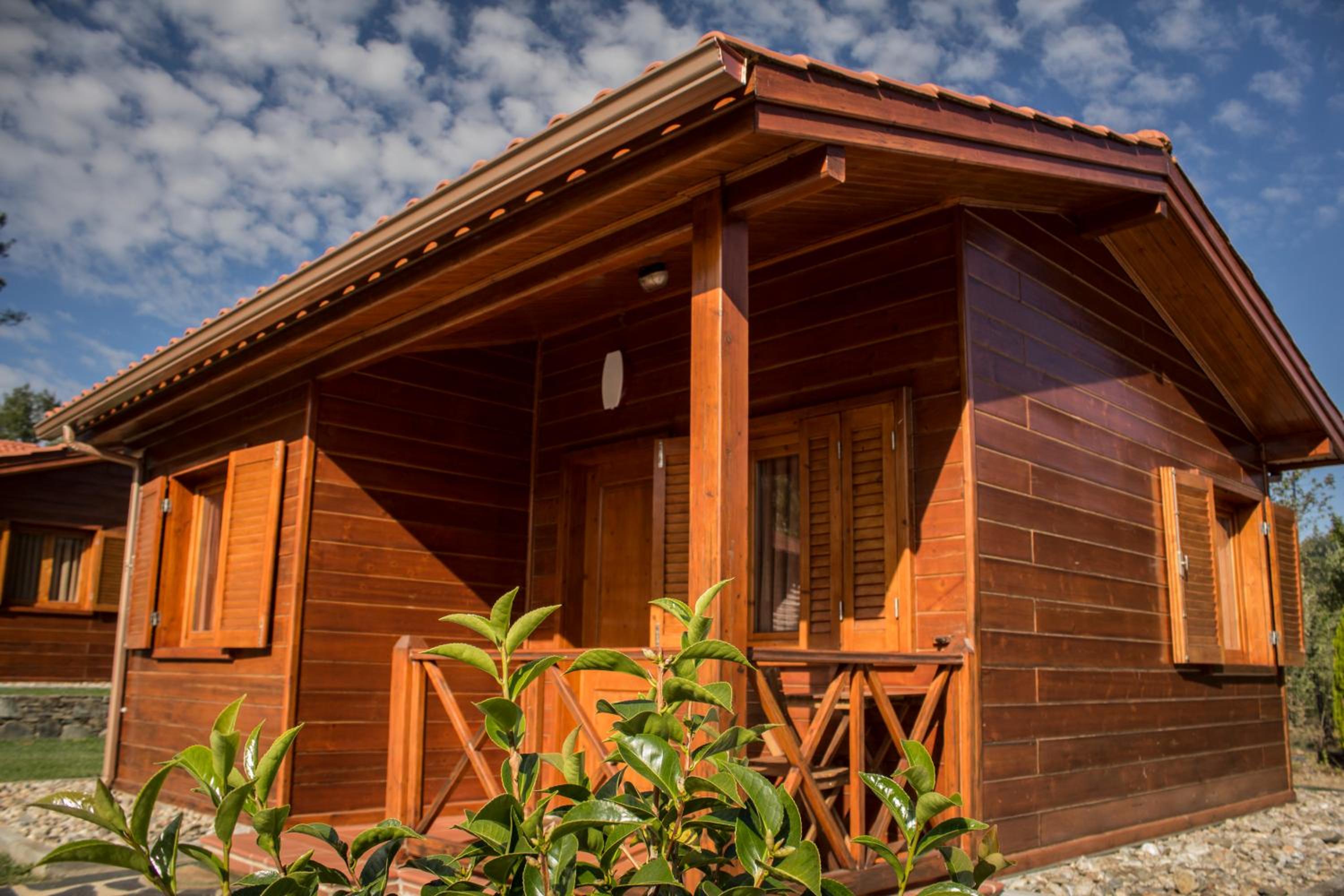 One-Bedroom Bungalow photo 3