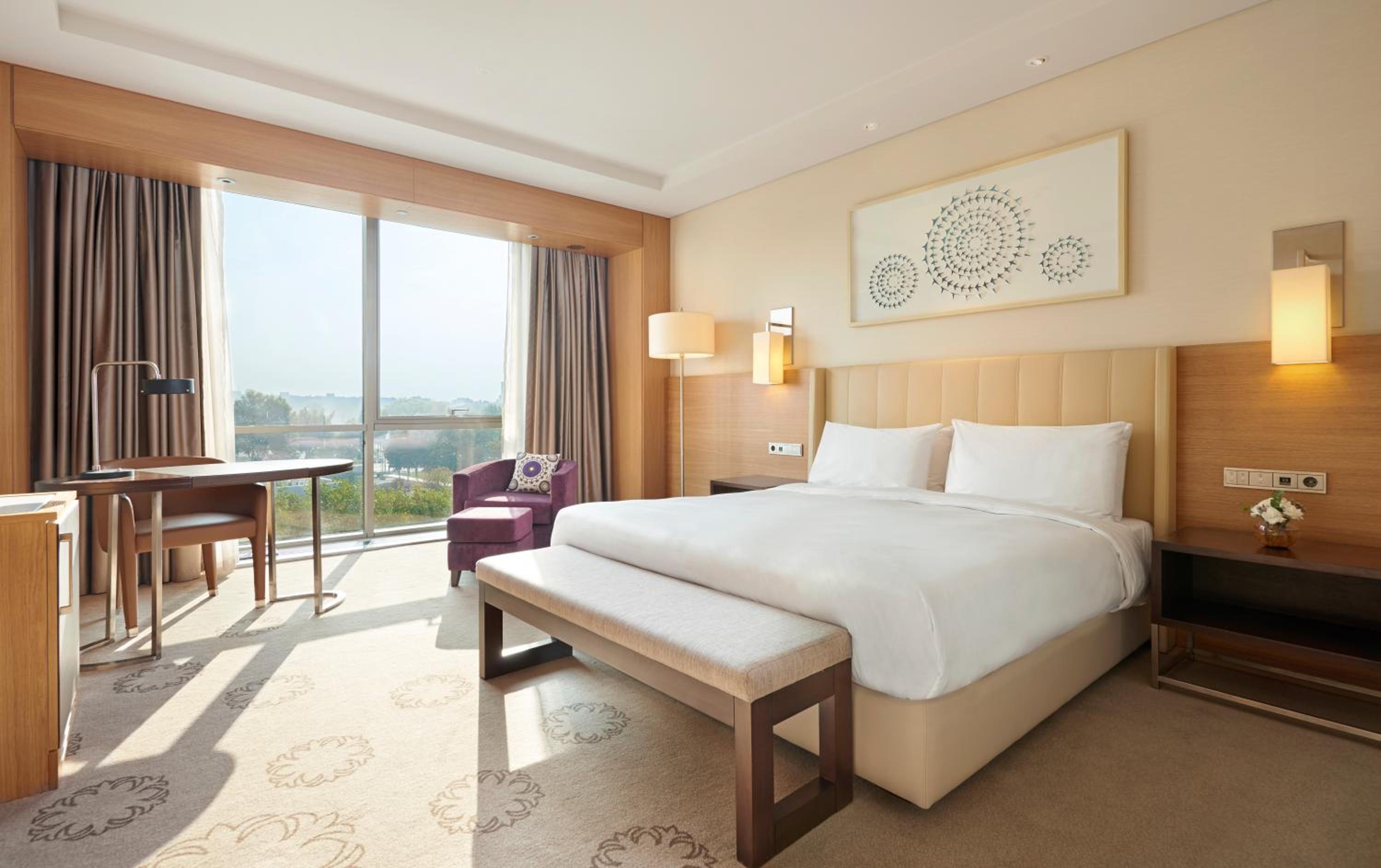 Deluxe King Room photo 1