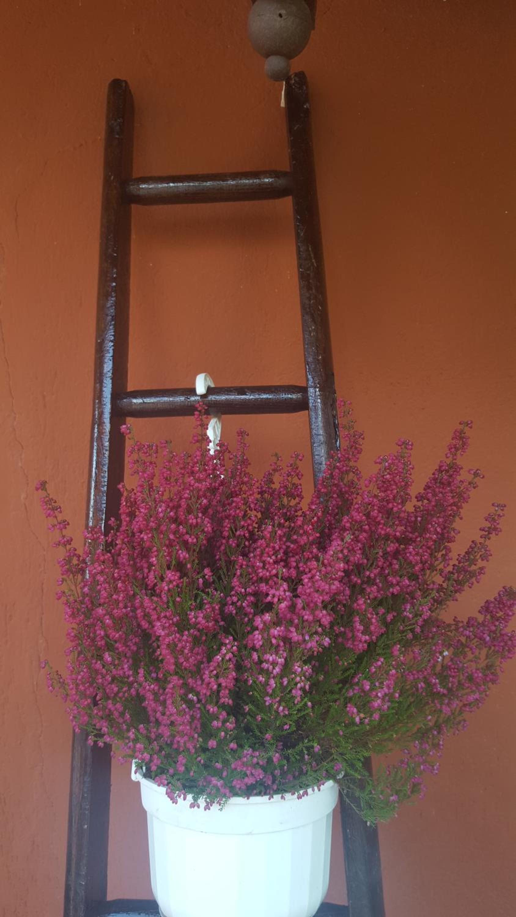 Apartment - Photo 24