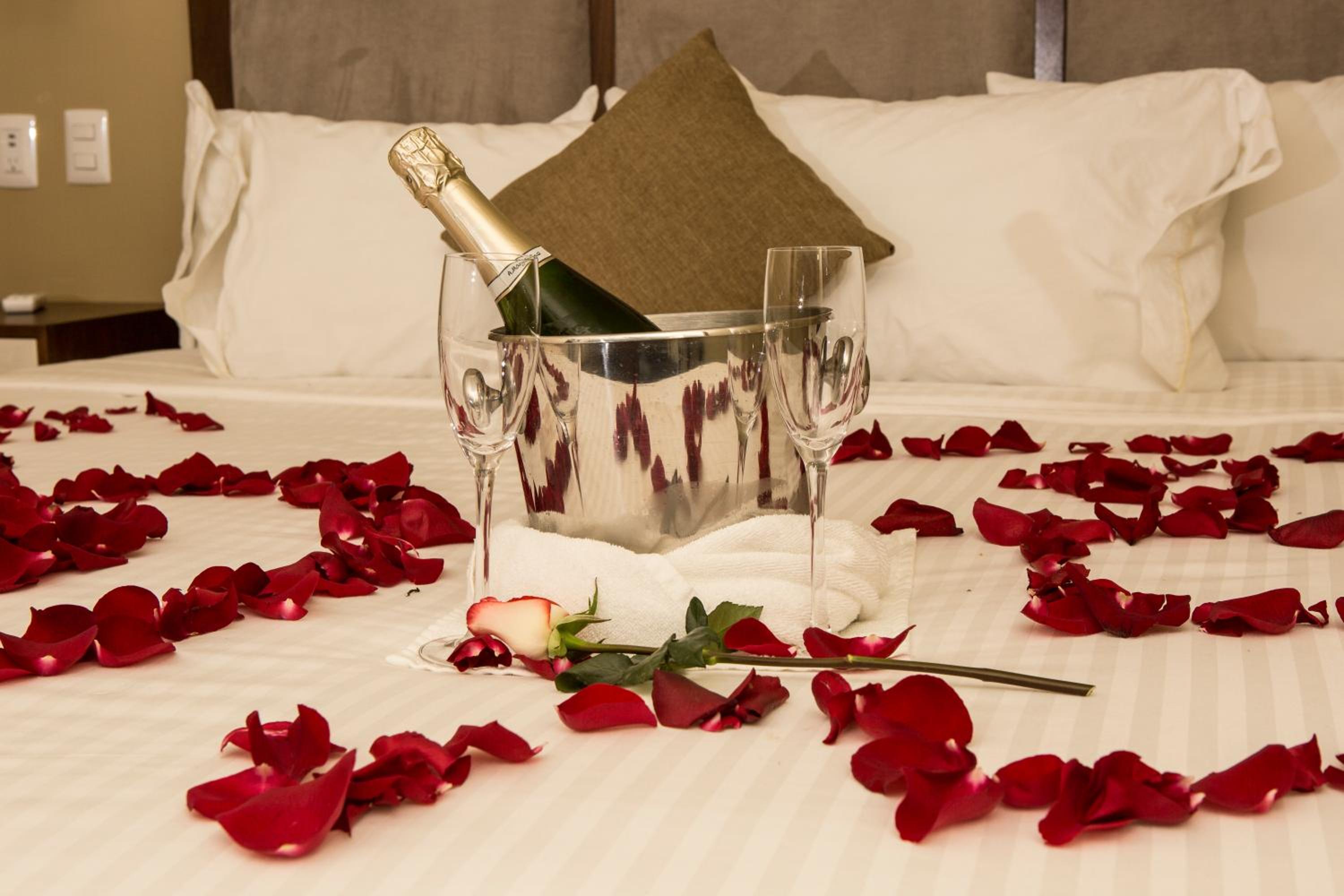 Deluxe Queen Suite - Photo 4