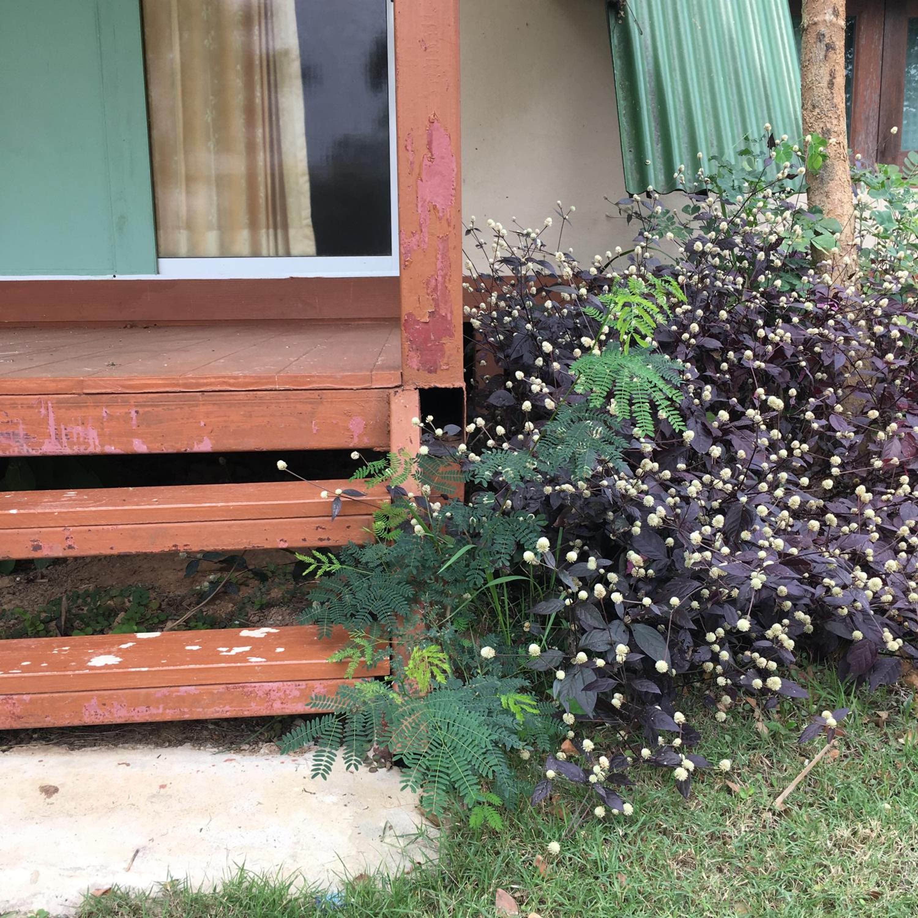Standard Bungalow with Fan photo 3