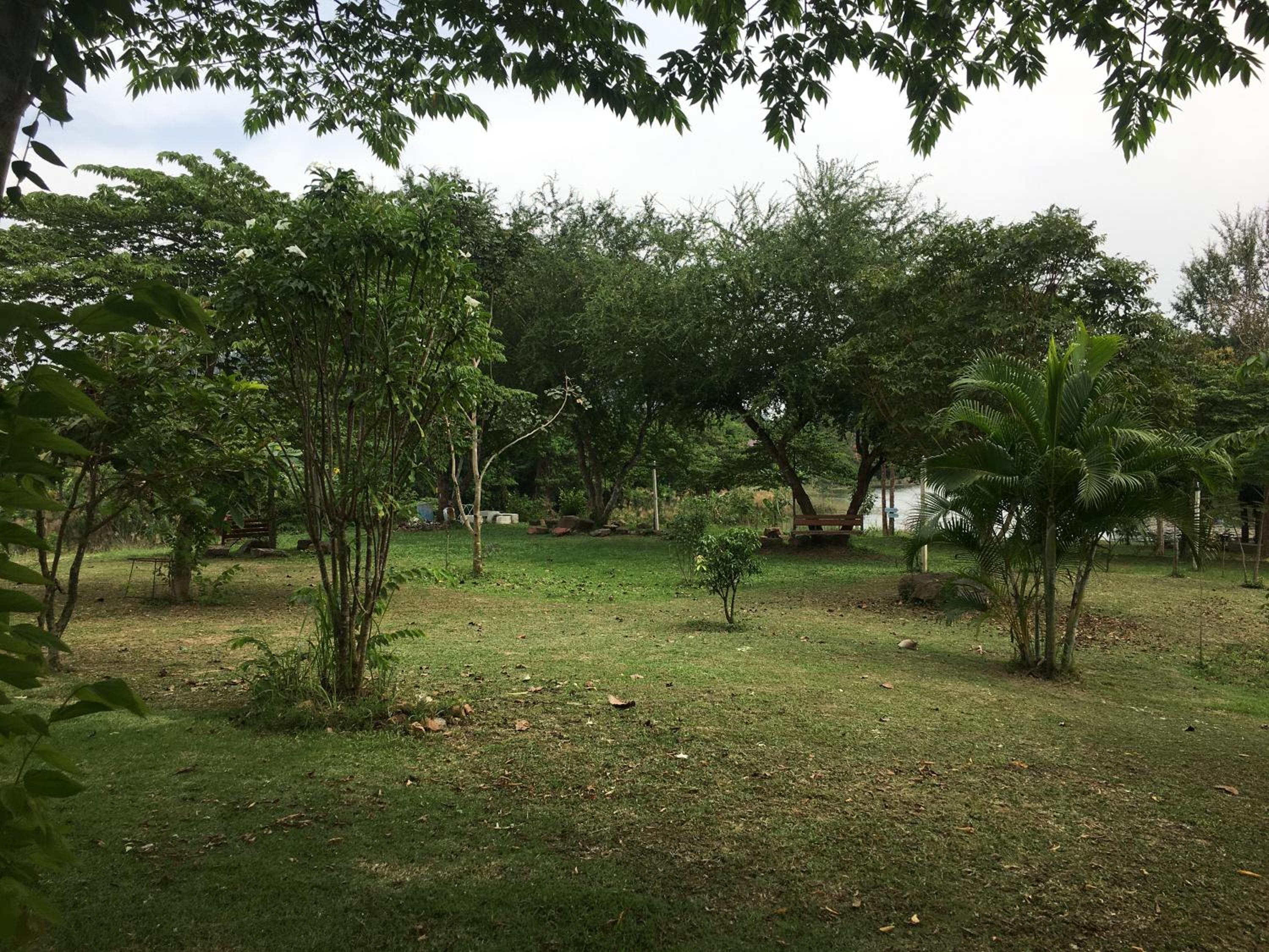 Standard Bungalow with Fan - Photo 7