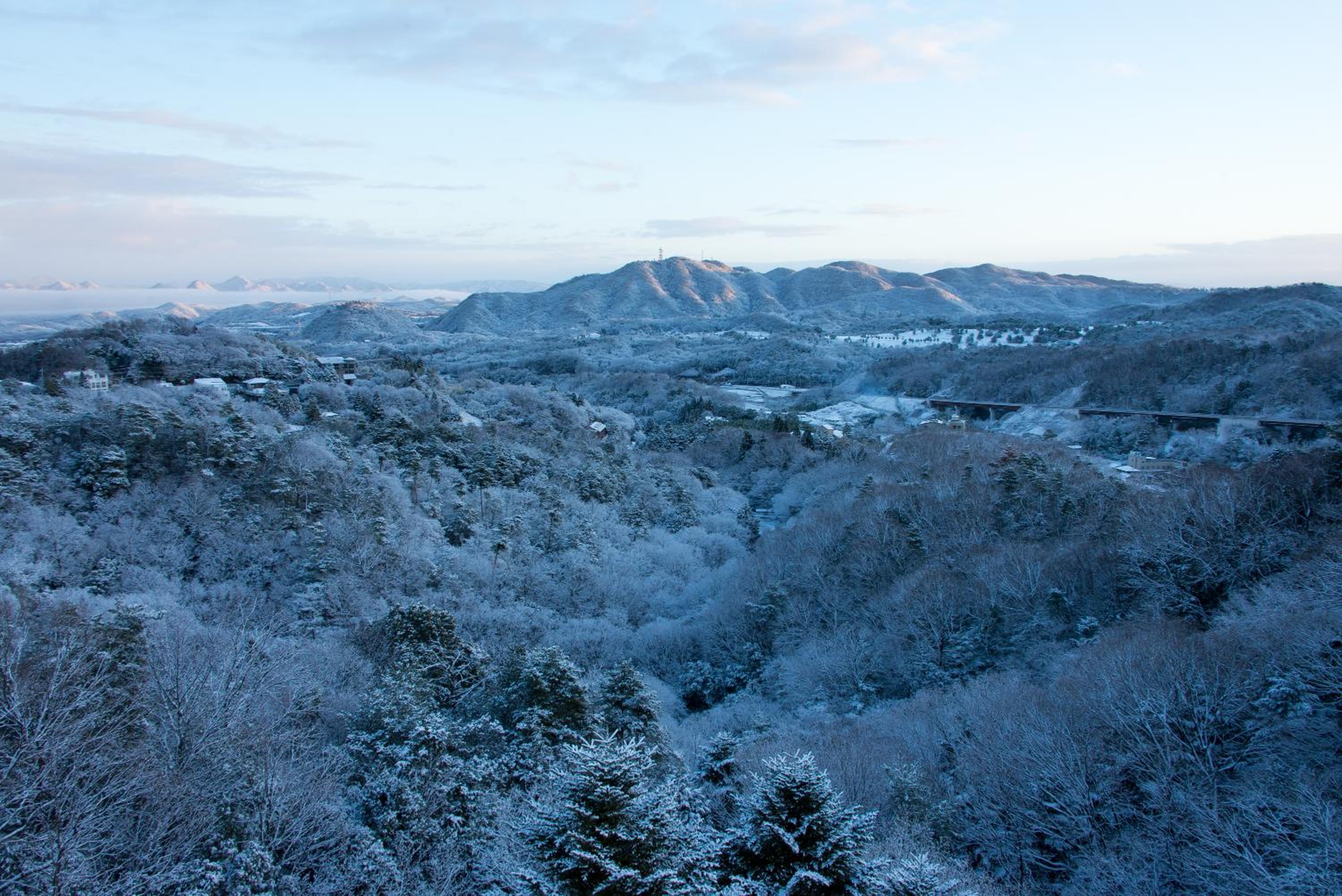 Japanese Style Room 18sqm with Mountain View - Non Smoking