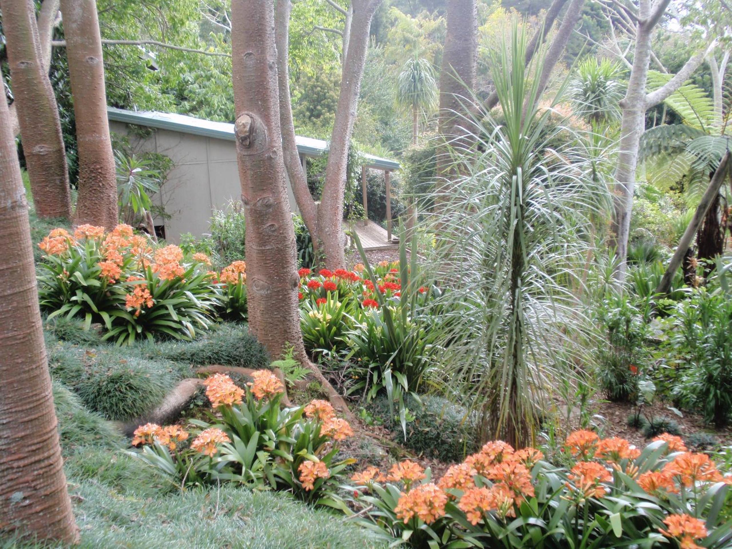 Bungalow photo 2