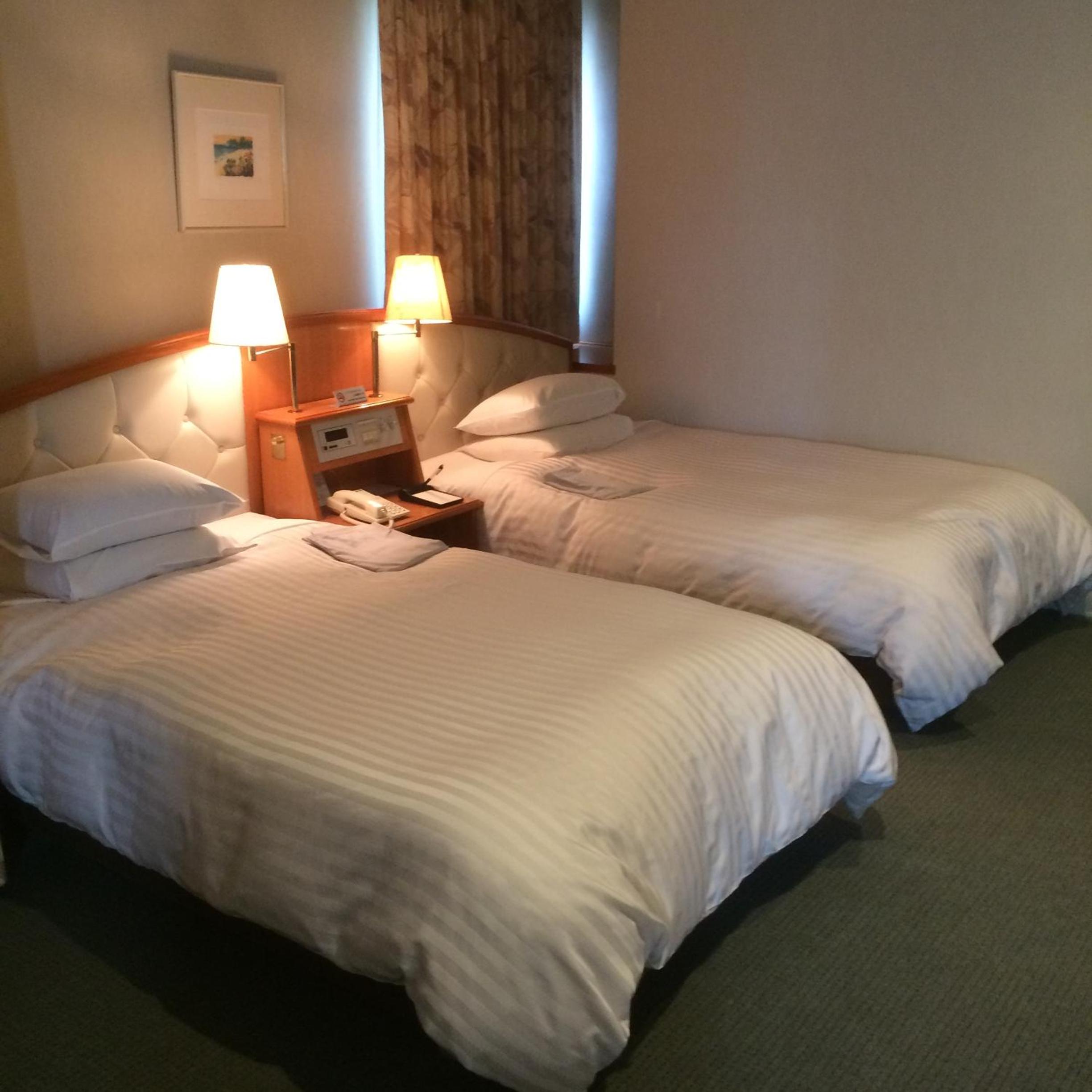Deluxe Twin Room - Smoking photo 1