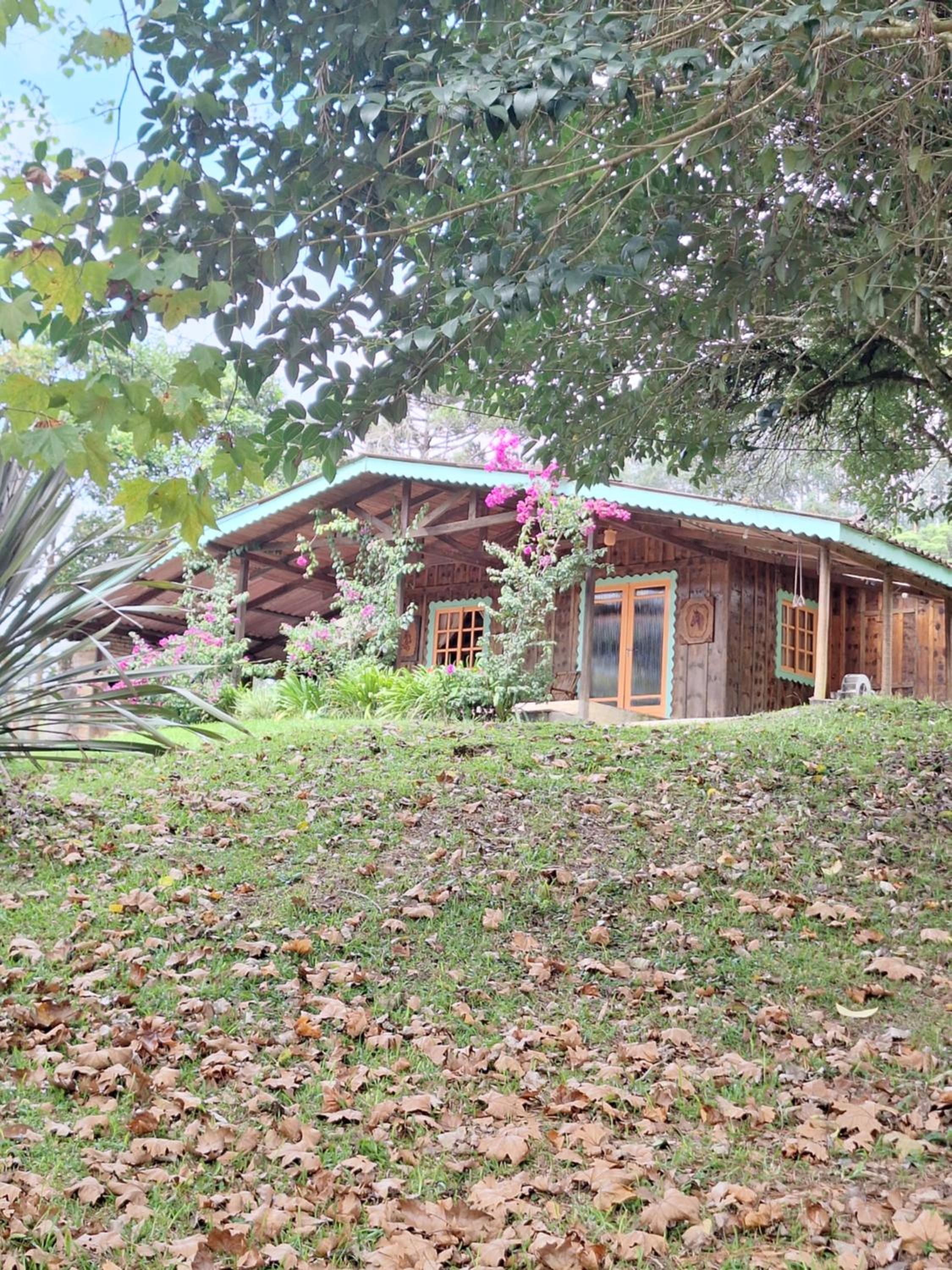 Two-Bedroom House photo 2