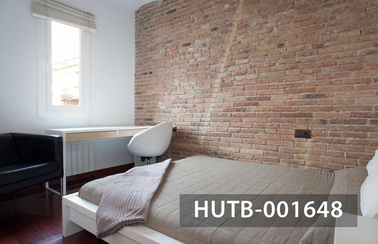 One-Bedroom Apartment, Ricart 30 photo 3