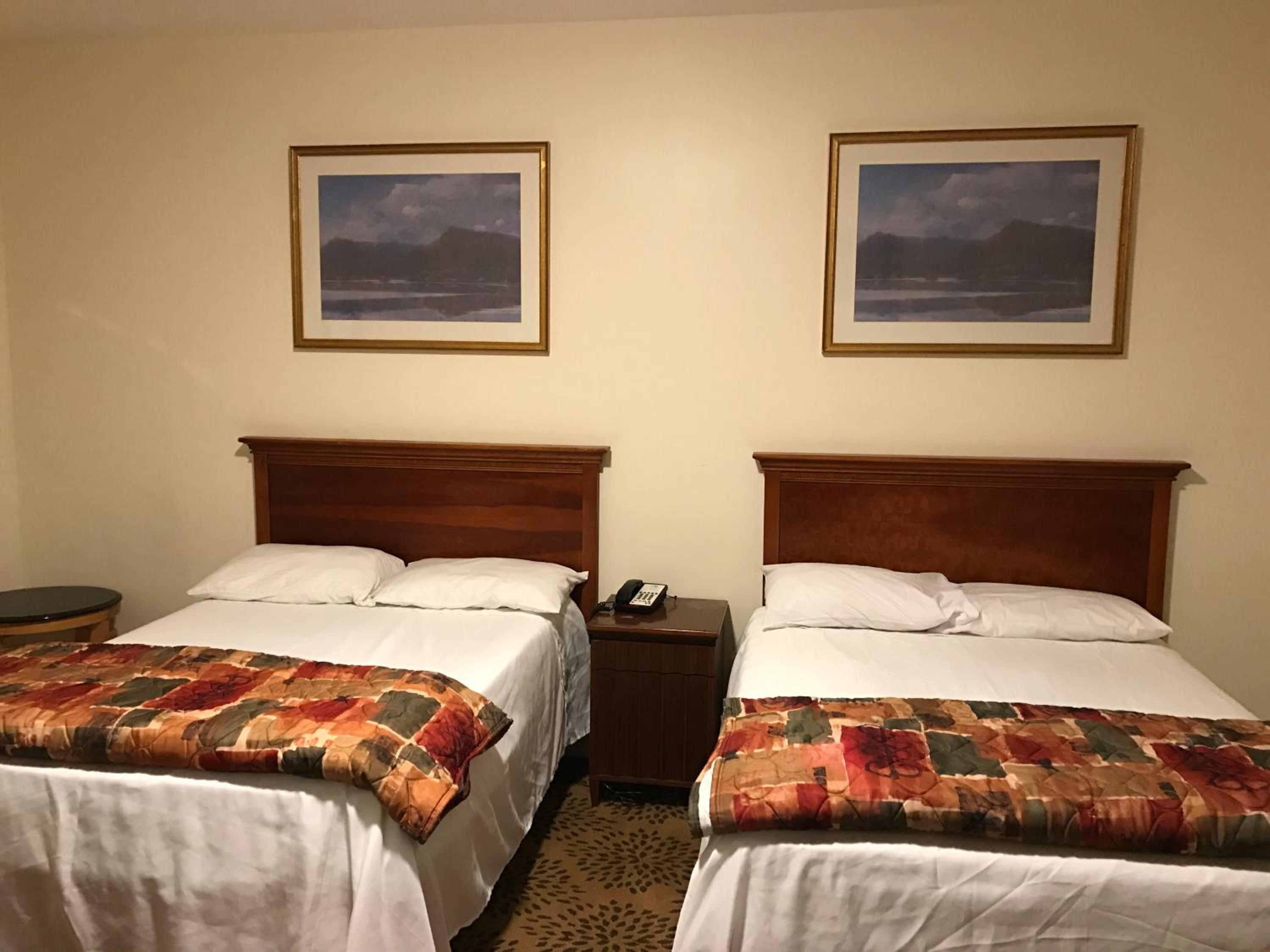 Standard Double Room - Photo 1