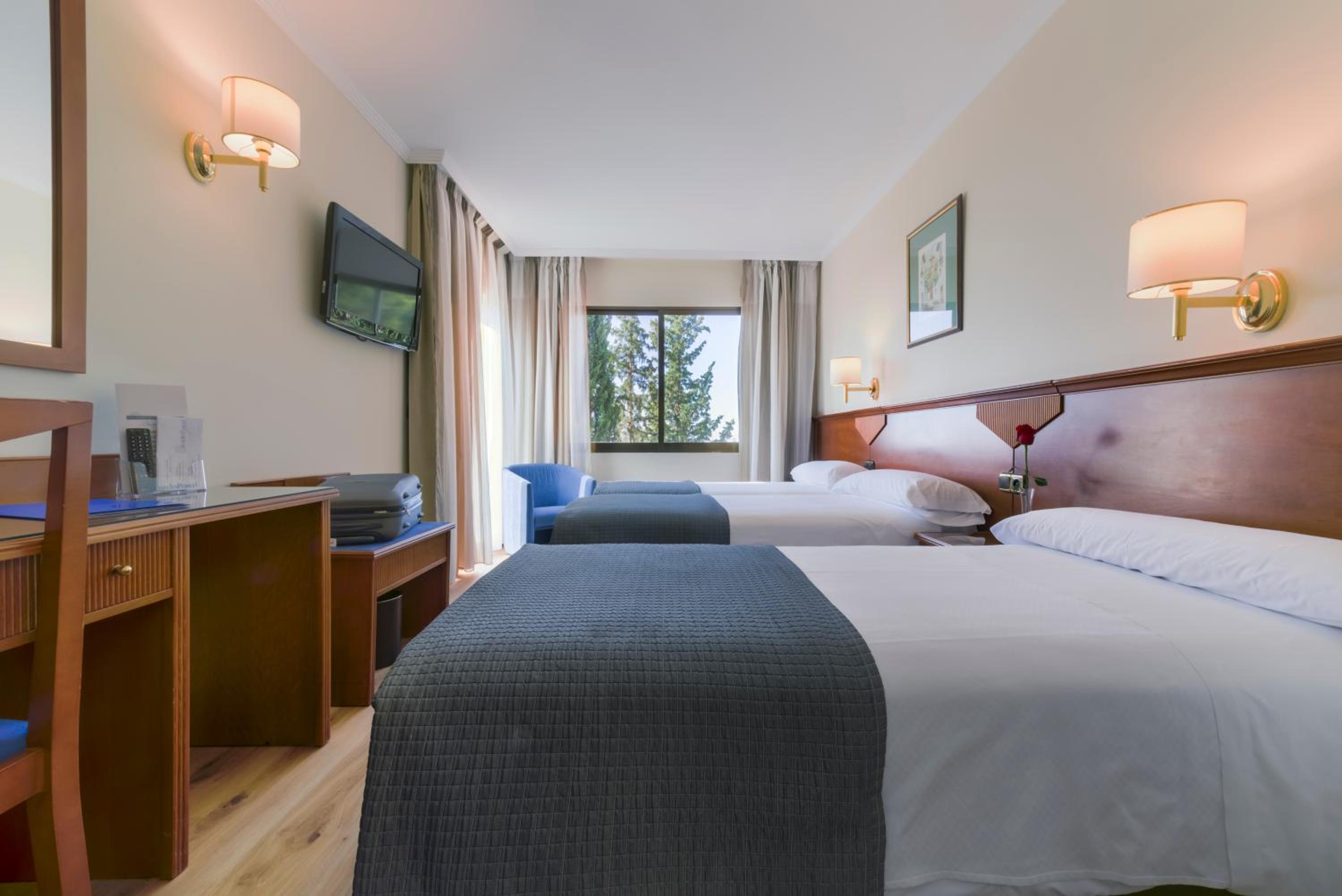 Triple Room (3 Adults) - Photo 7