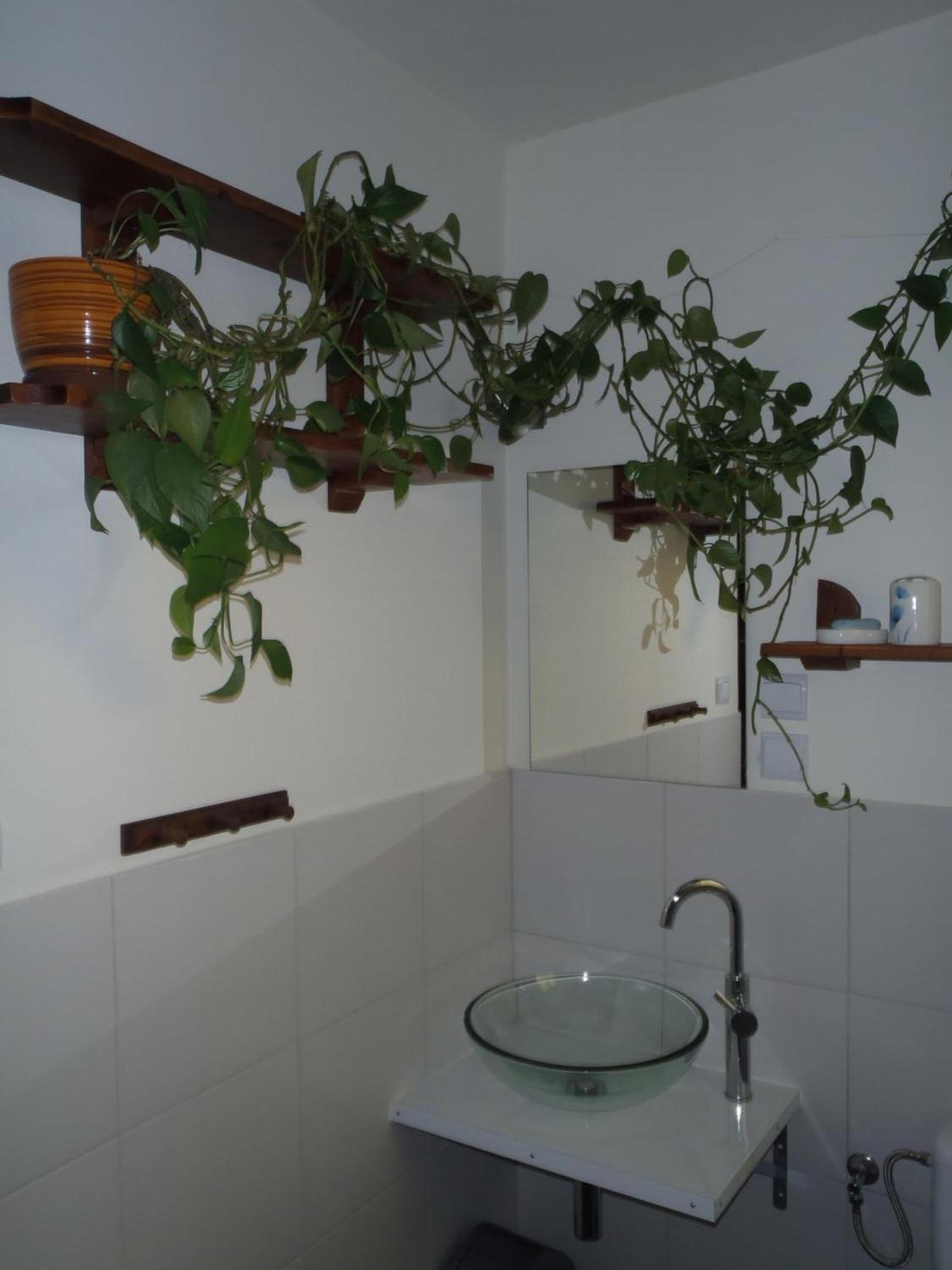 Double Room with Mountain View photo 3