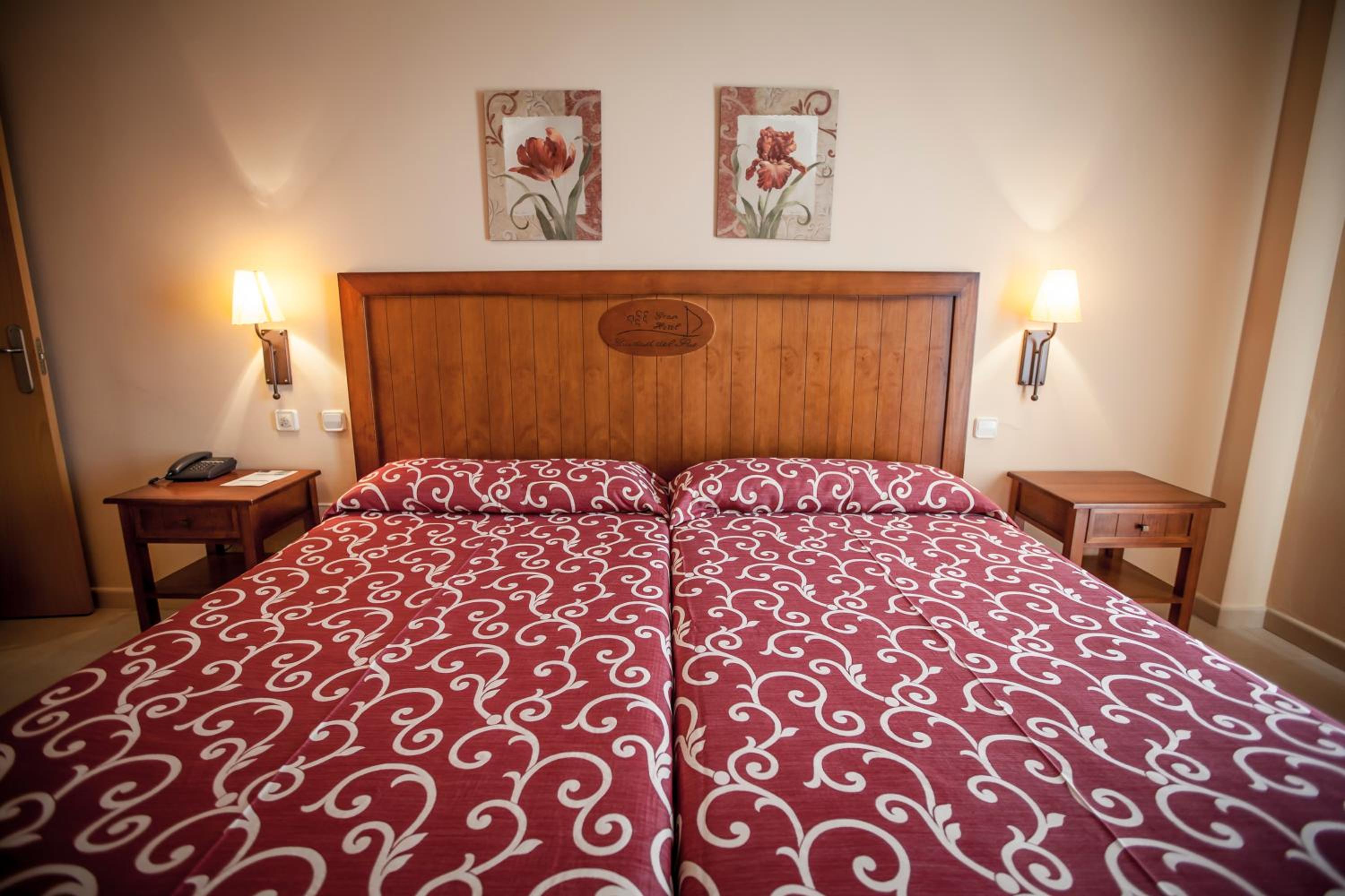 Double or Twin Room photo 3