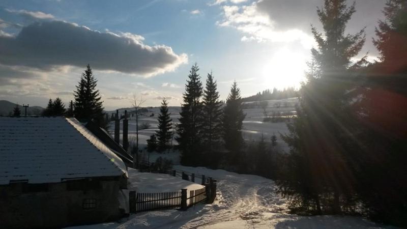 Vacation Home photo 3