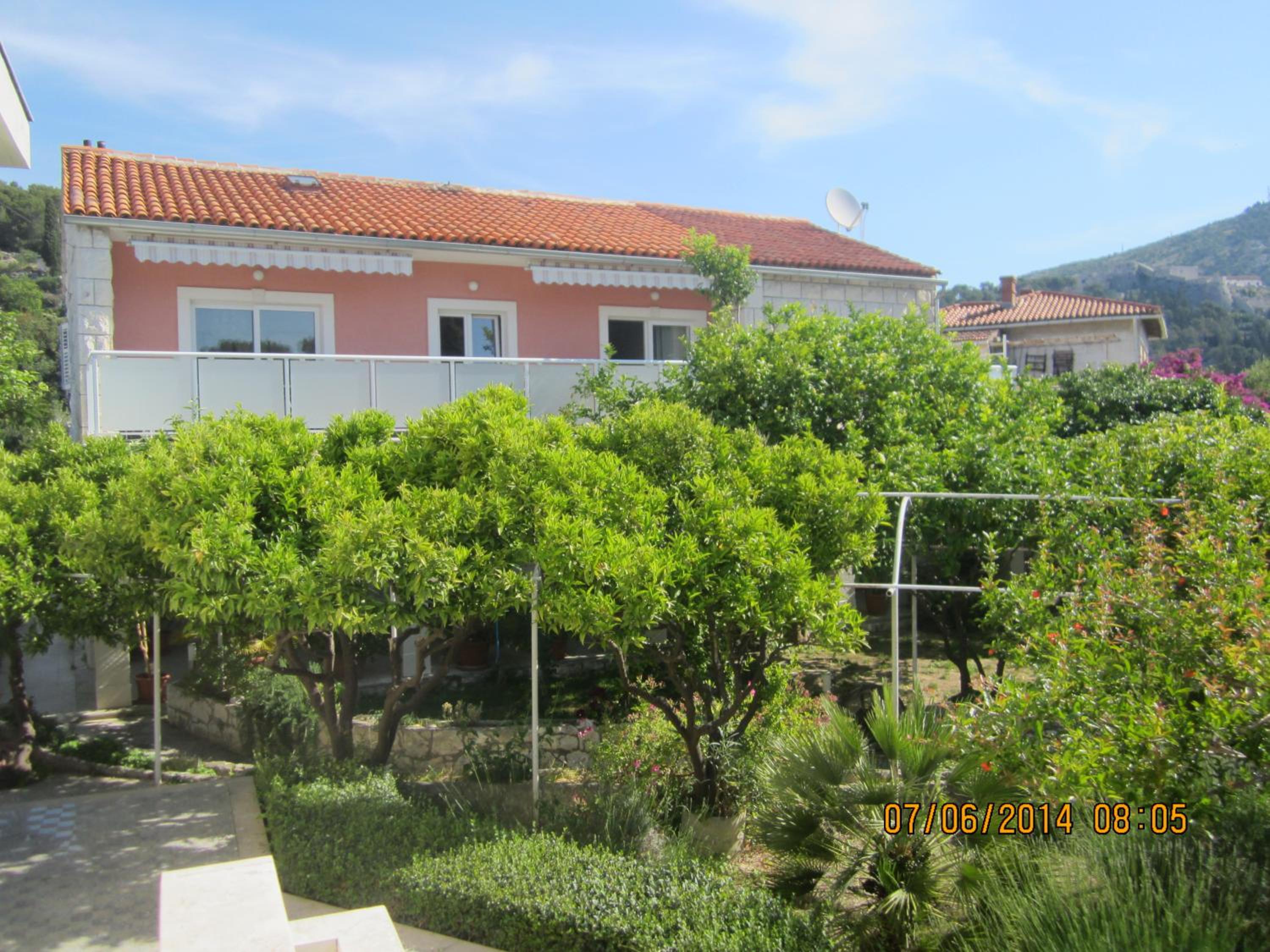 Apartment with Terrace photo 3