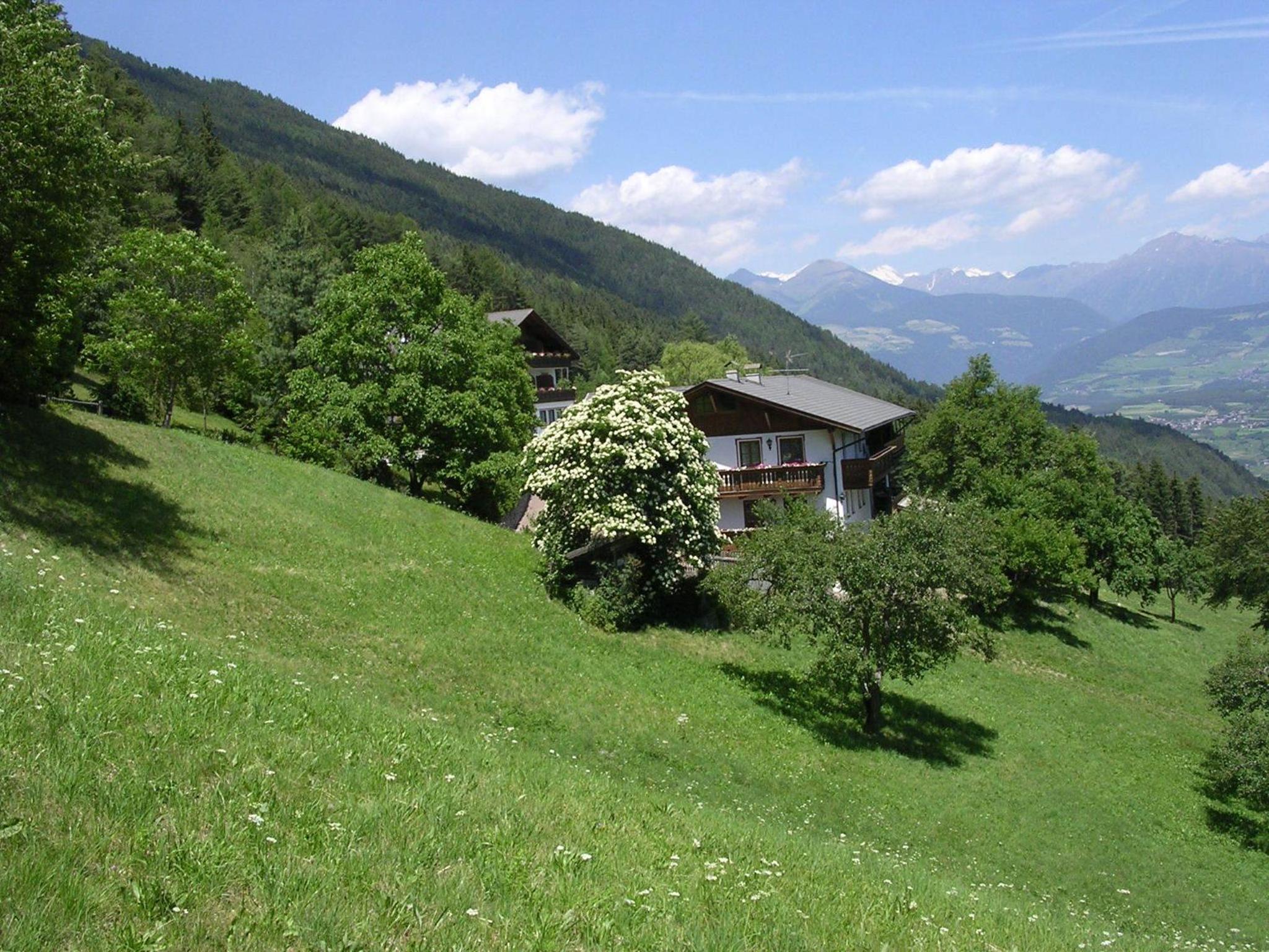 Two-Bedroom Deluxe Apartment with Garden View photo 1