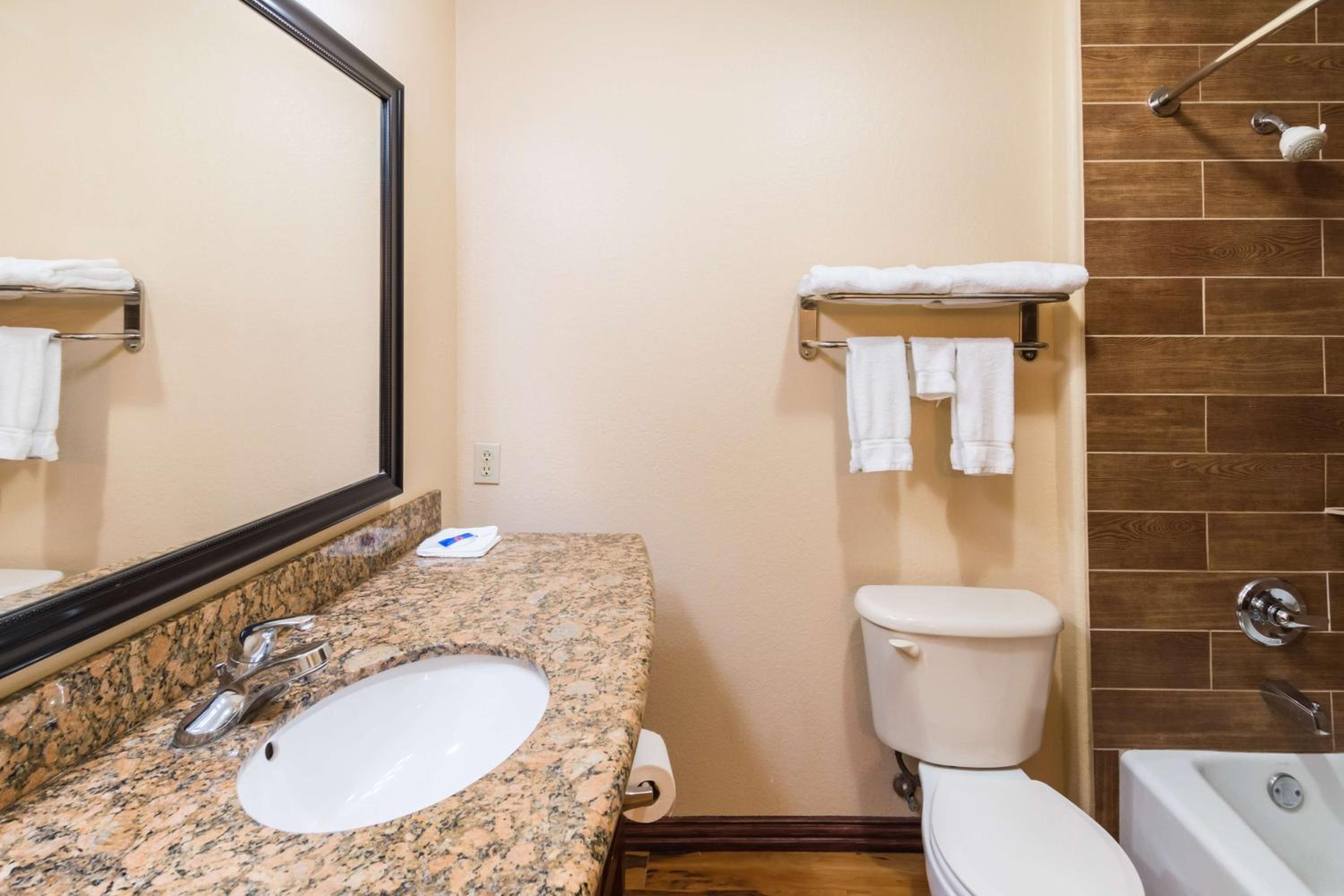 Deluxe King Suite - Non-Smoking - Photo 2