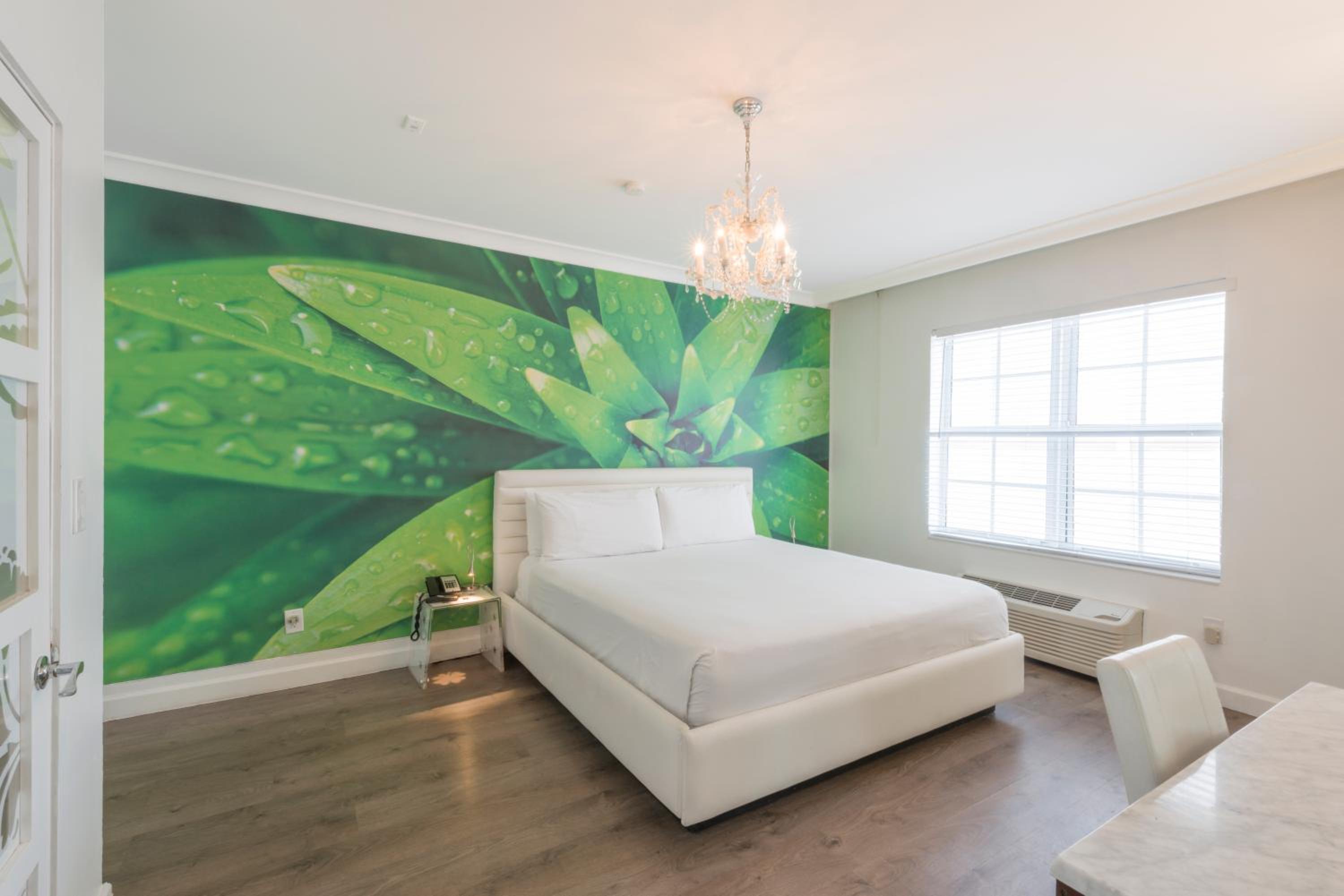 Traditional King Room - Photo 2