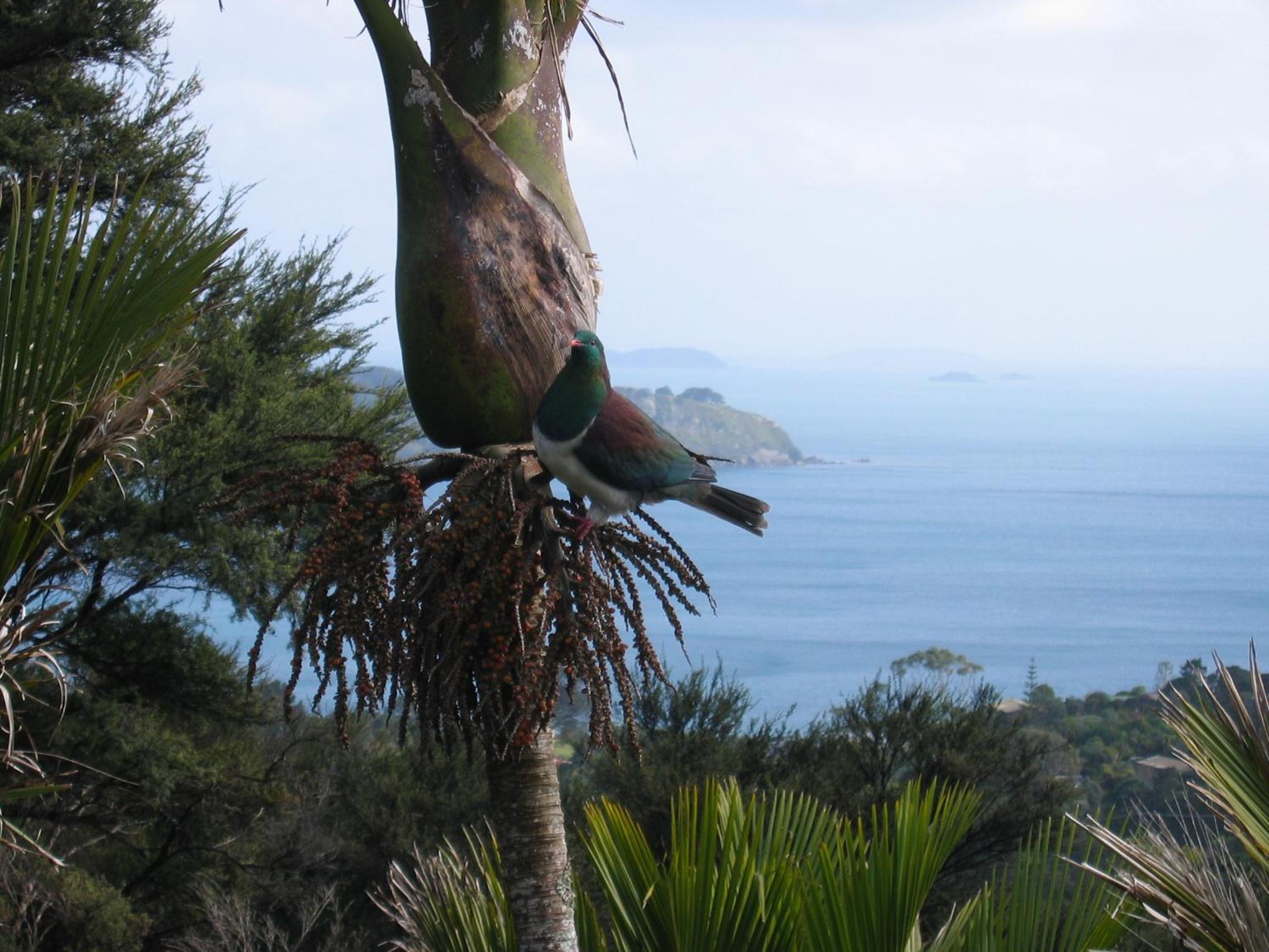 Apartment with Sea View - Photo 21