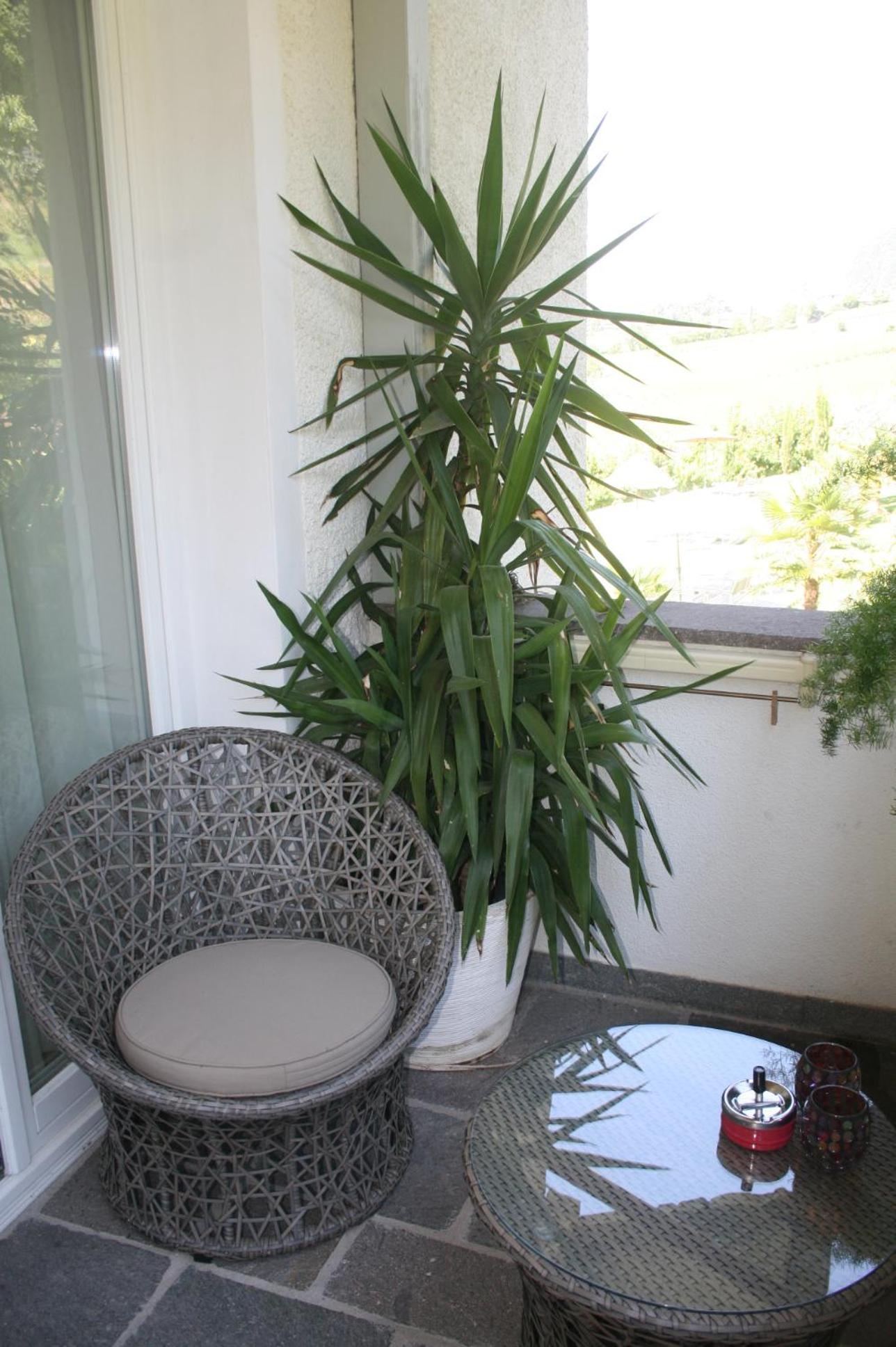 Apartment with Balcony - Photo 24