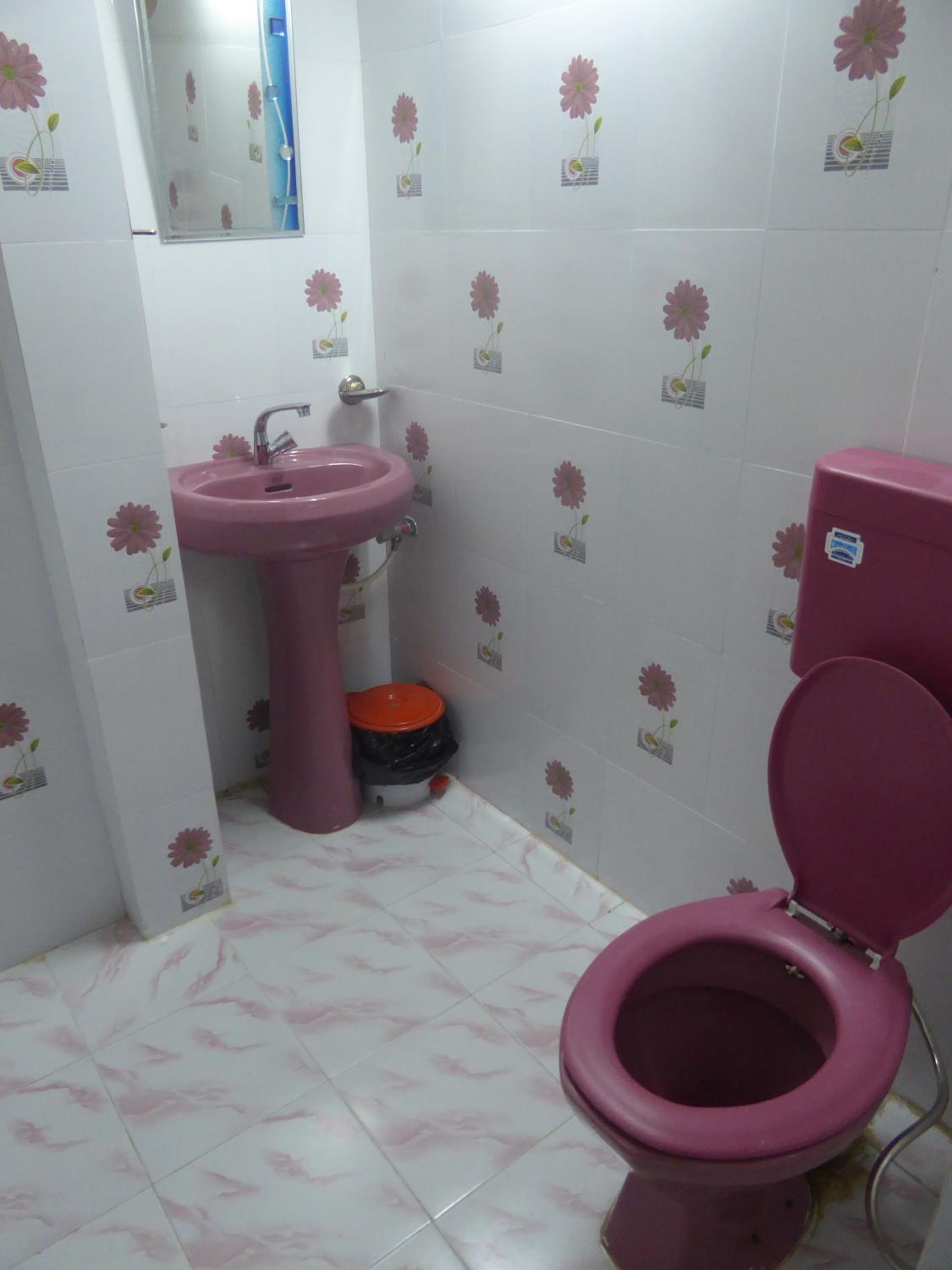 Deluxe Double or Twin Room with Fan photo 3