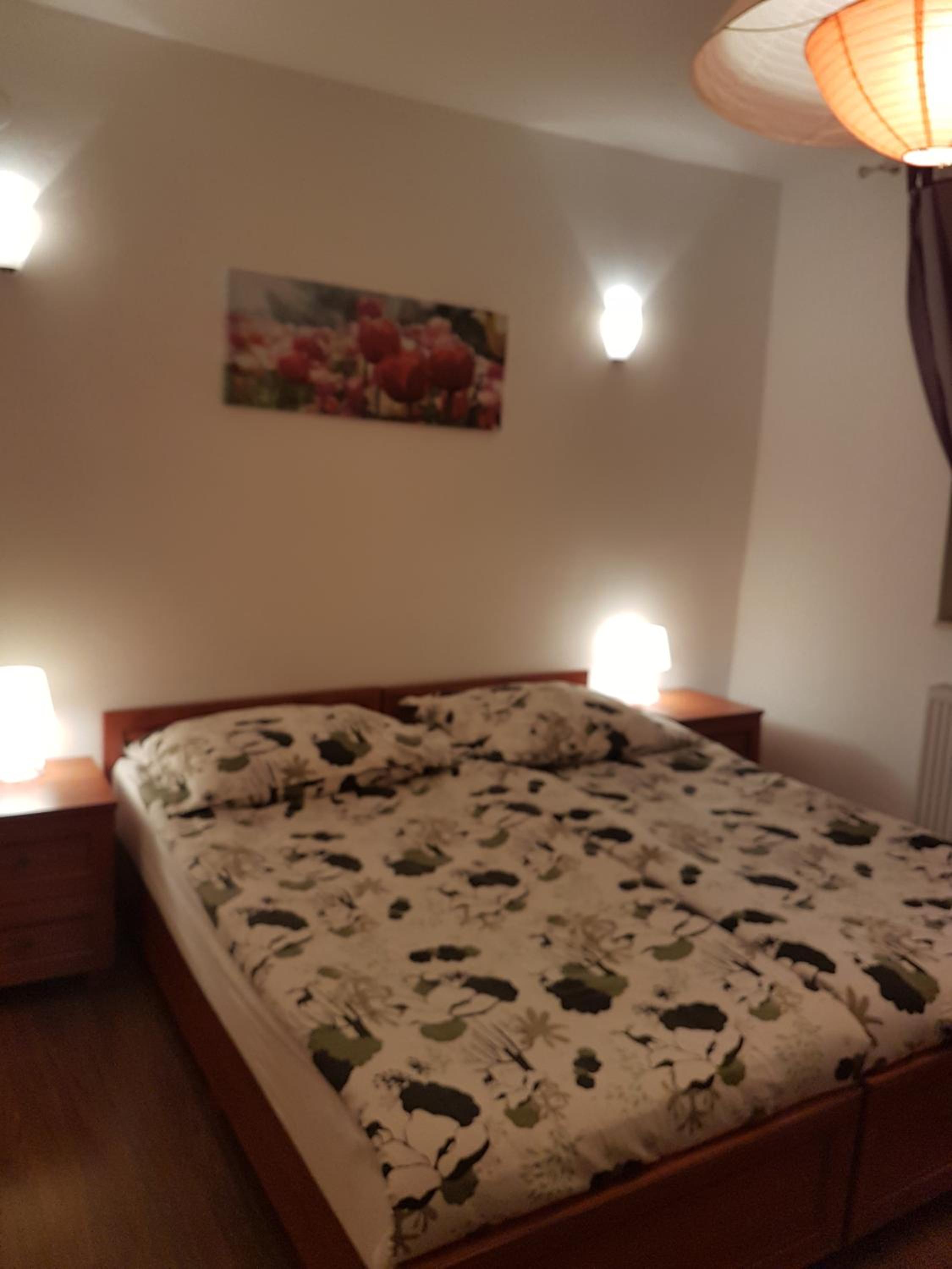 Large One-Bedroom Apartment photo 3