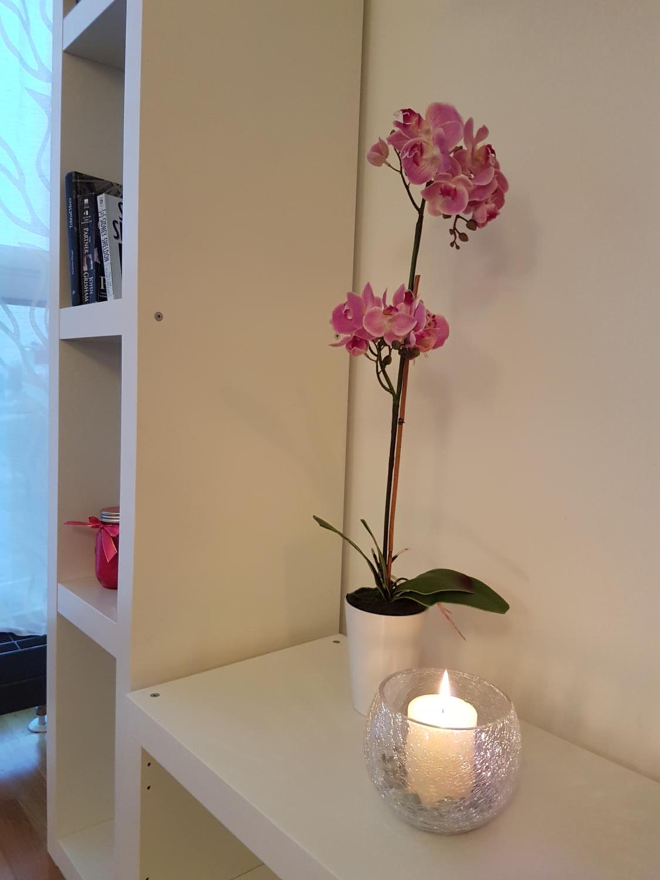 Studio Apartment - Photo 30