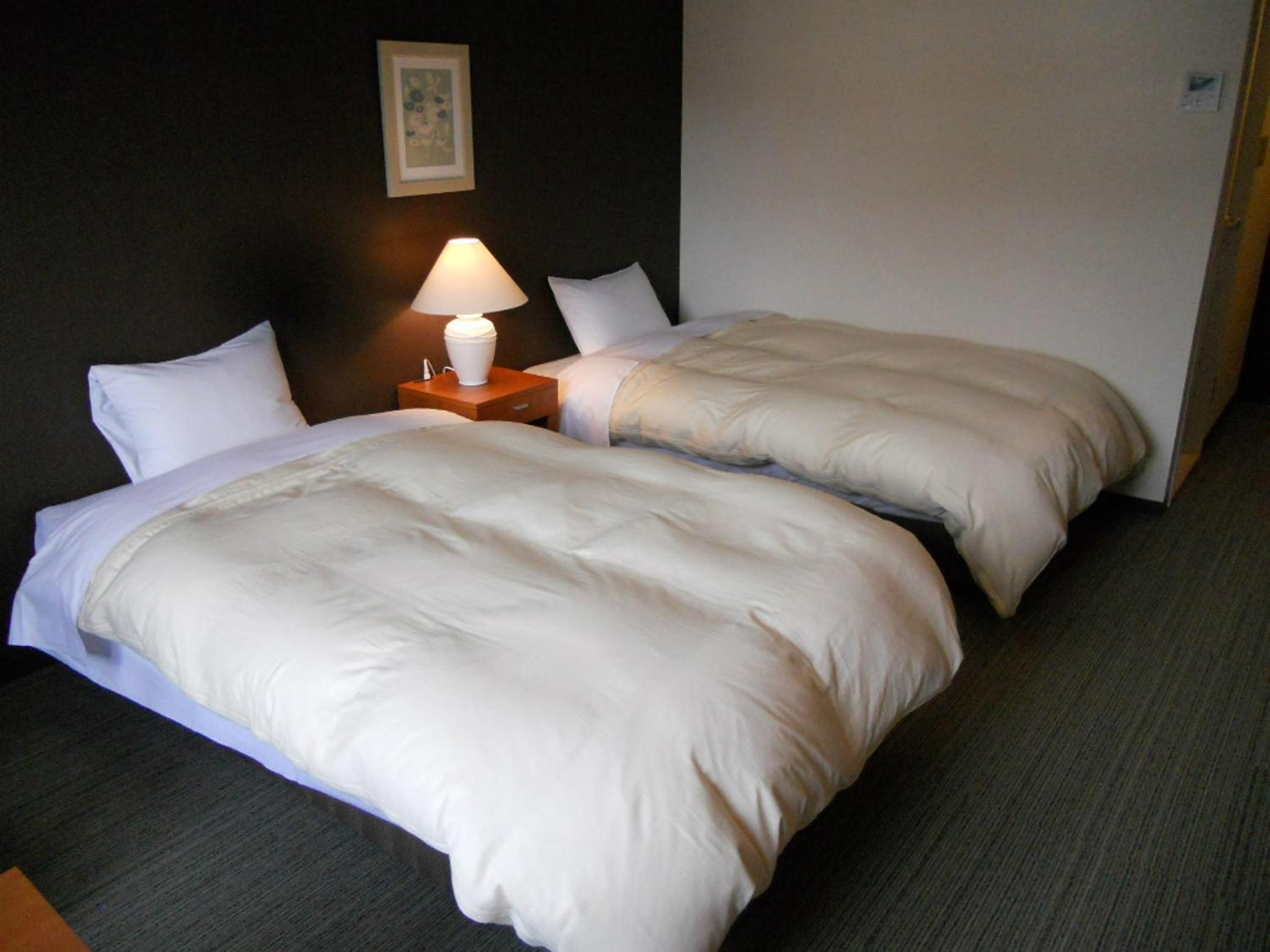 Twin Room photo 2