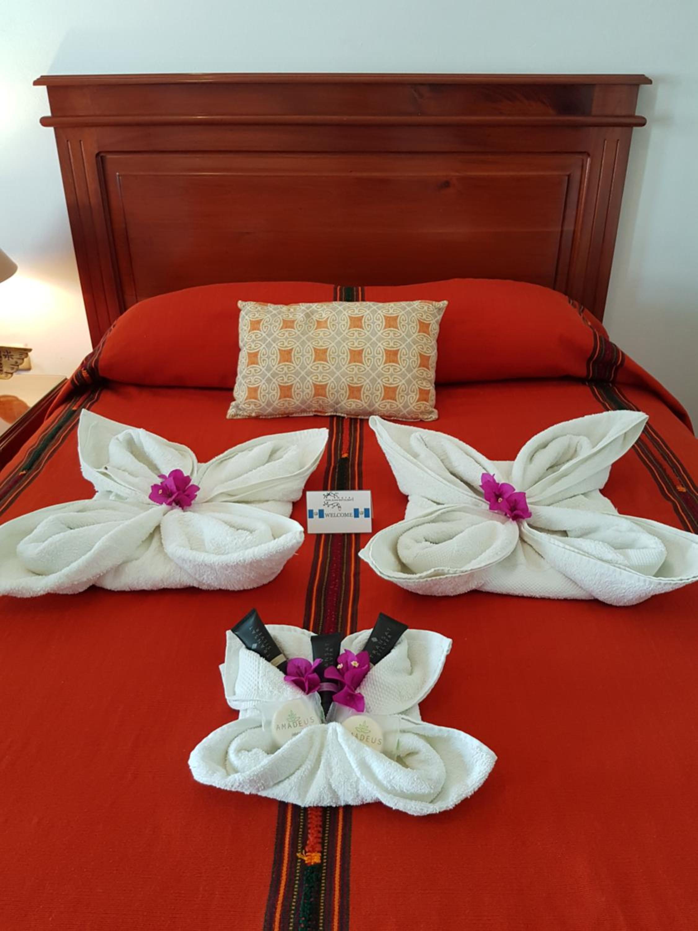 Double Room photo 1