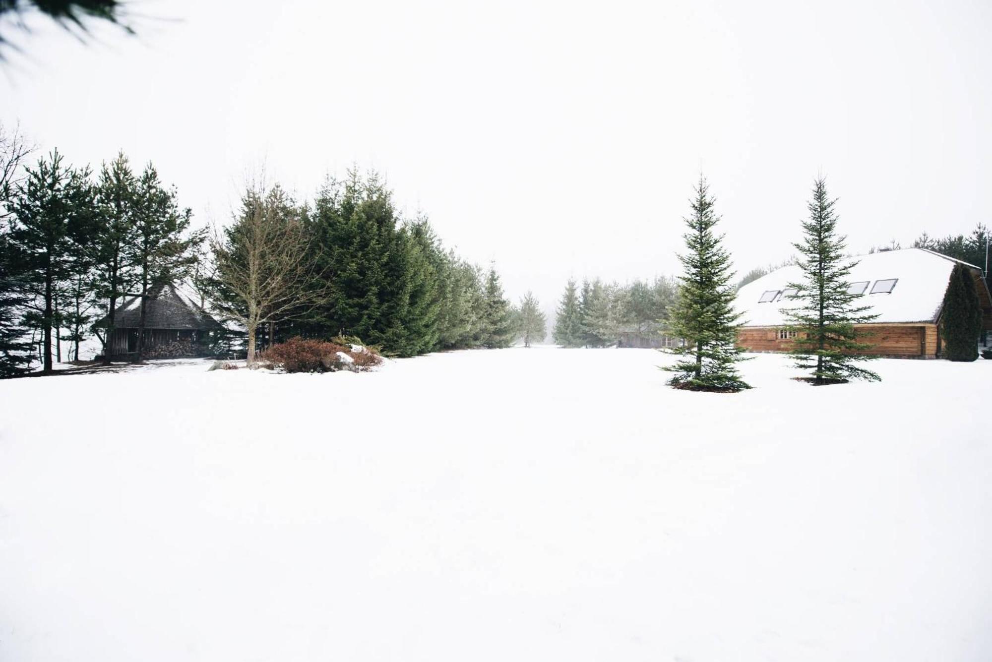 Standard Villa - Photo 3