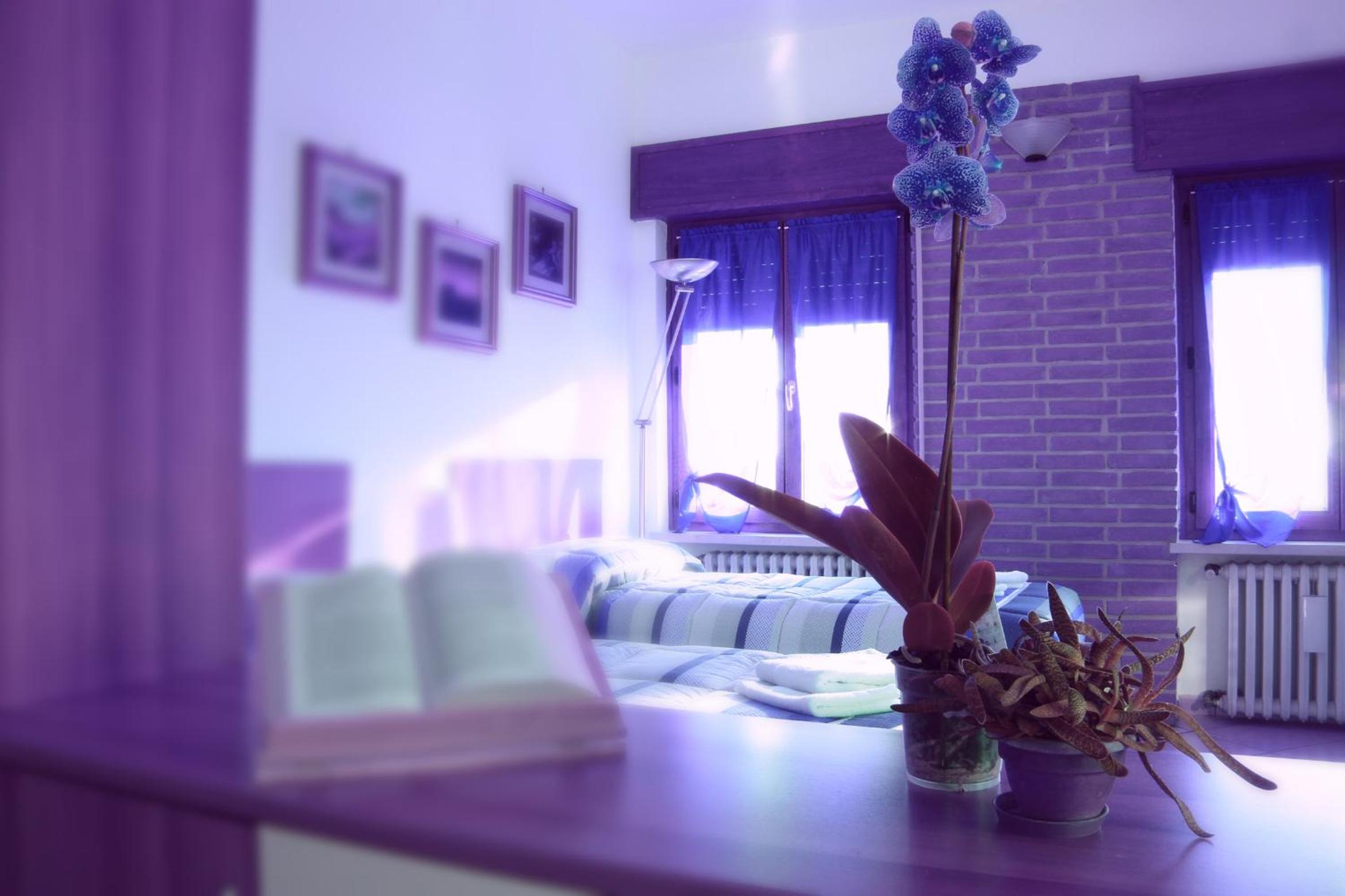 Standard Studio