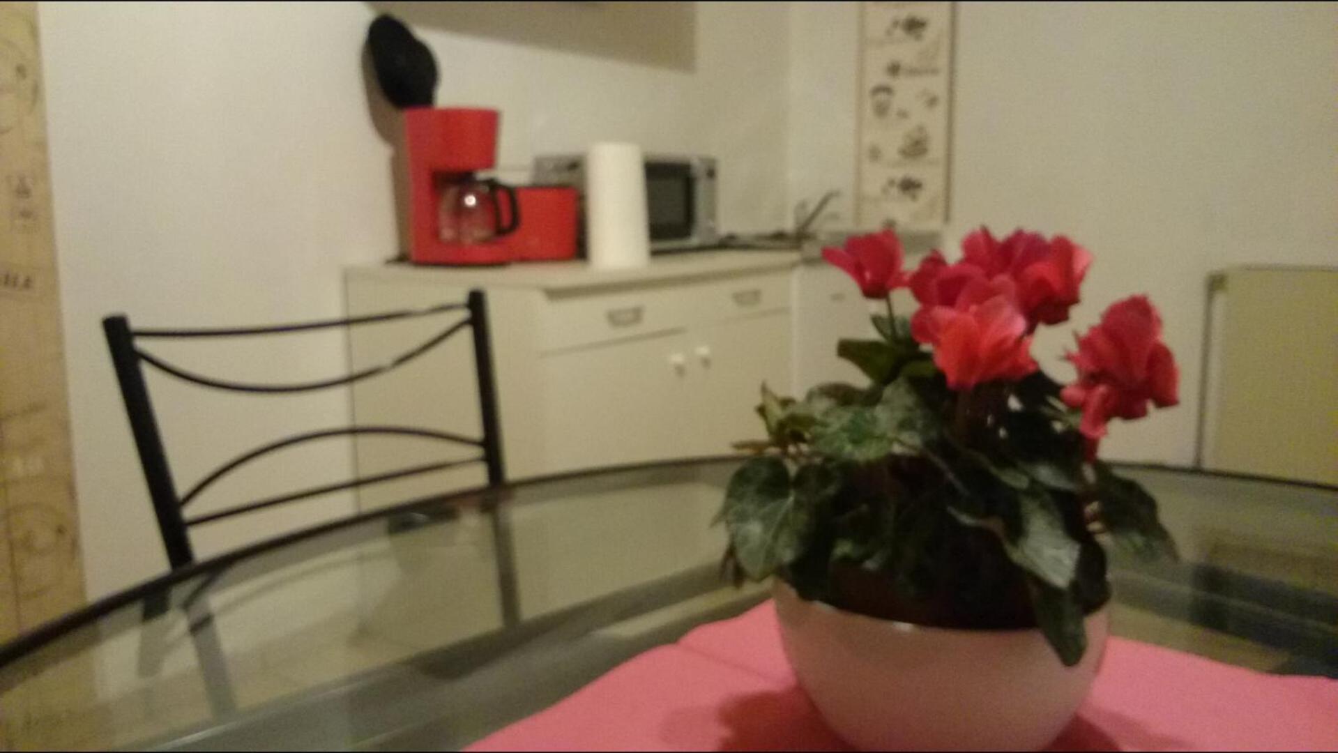 Apartment - Photo 21