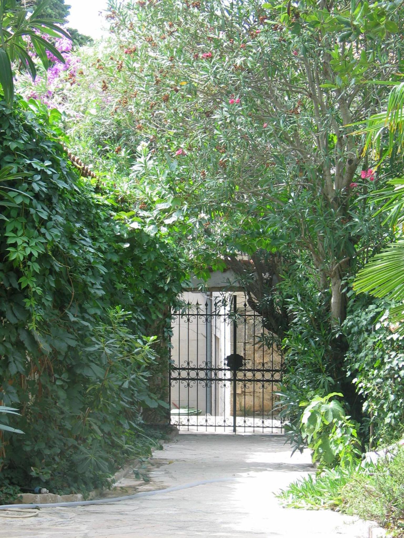 Standard Villa photo 3