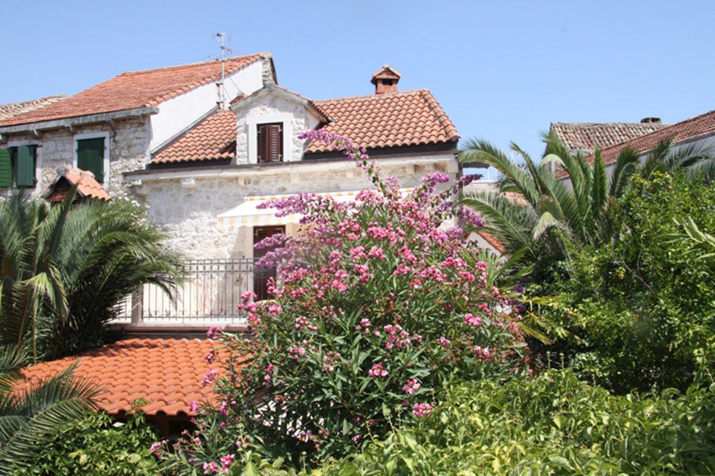 Standard Villa photo 2
