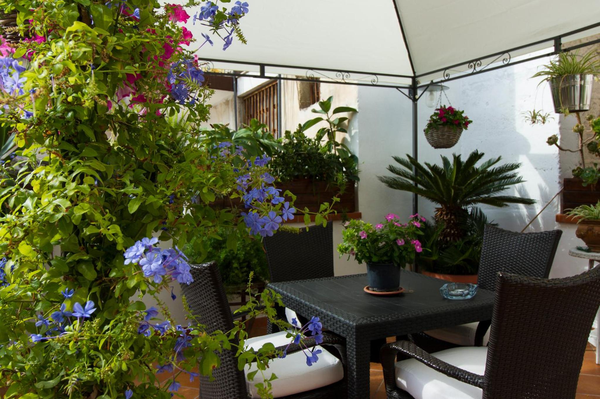 Double Room with Terrace - Photo 15