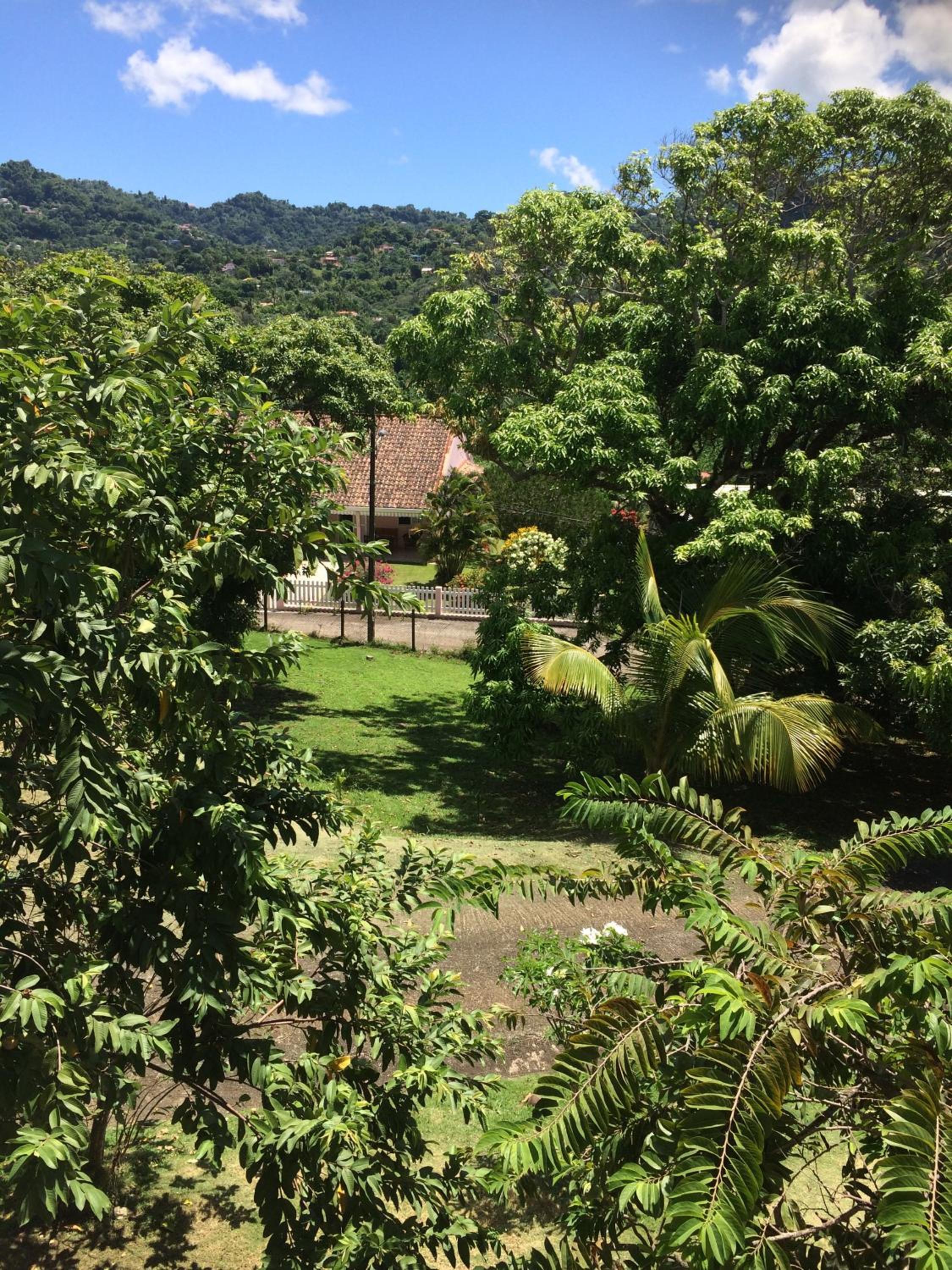 Apartment With Garden View photo 3