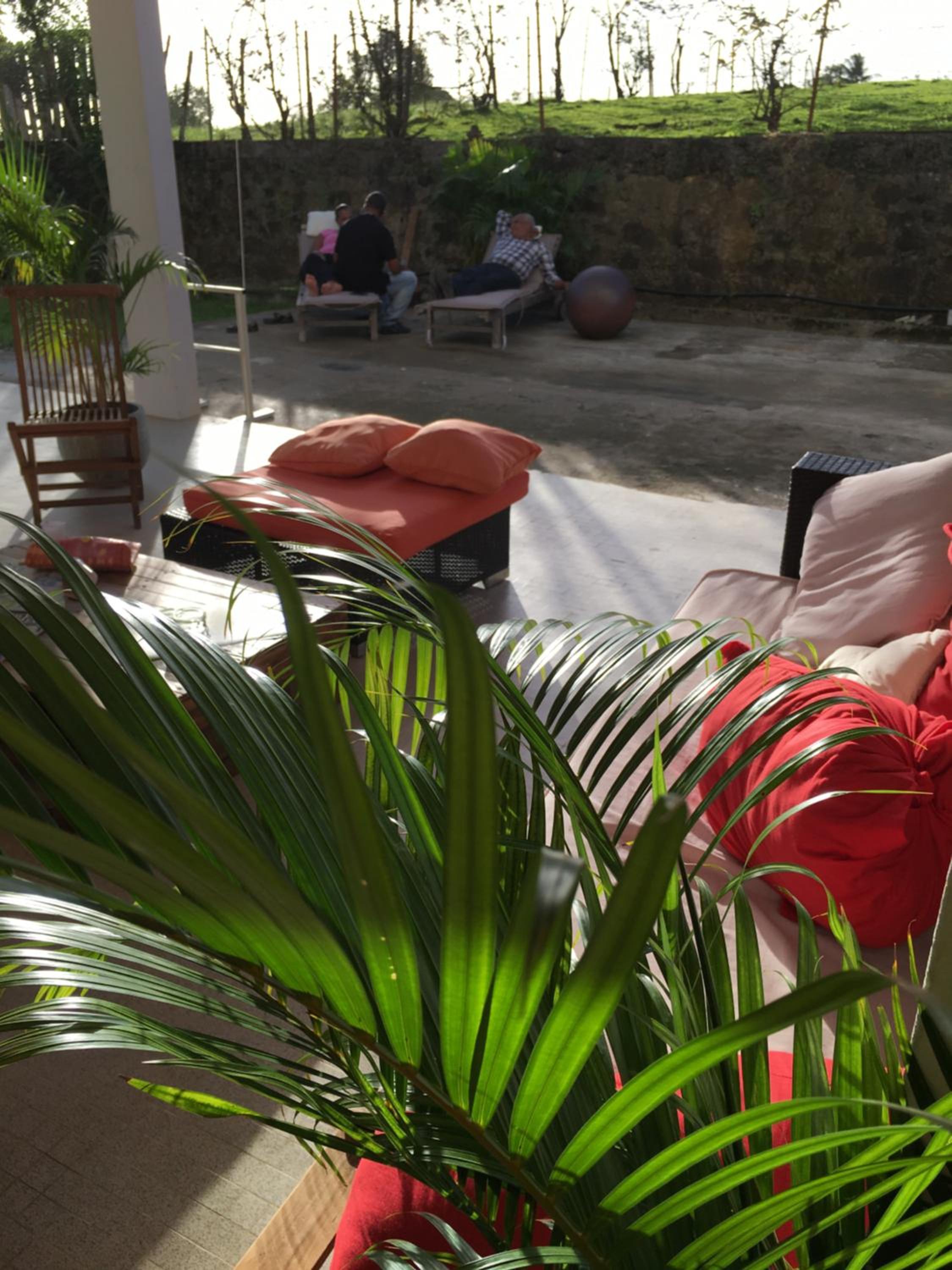 Studio With Garden View photo 3