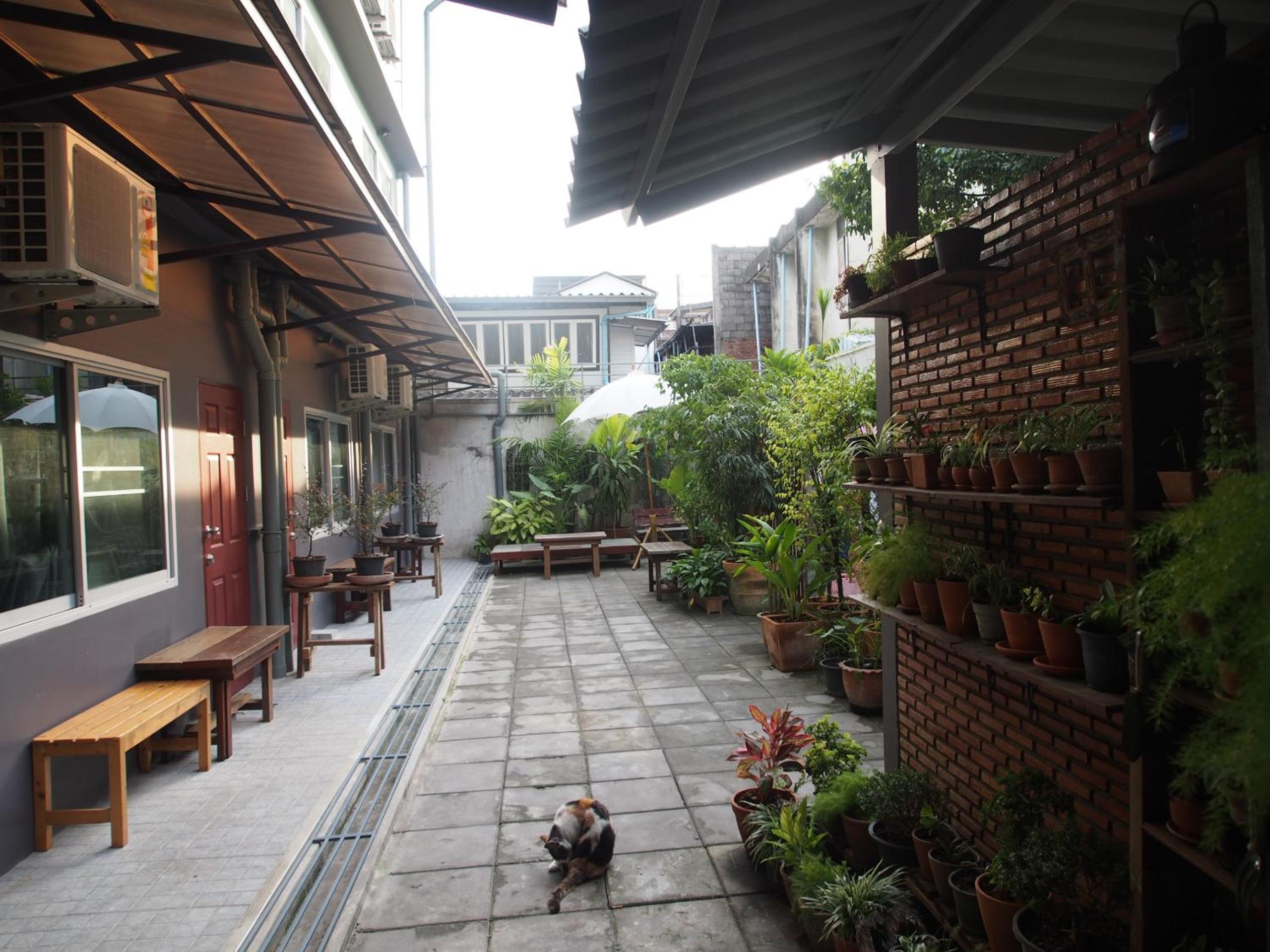 Double Room with Garden View photo 3