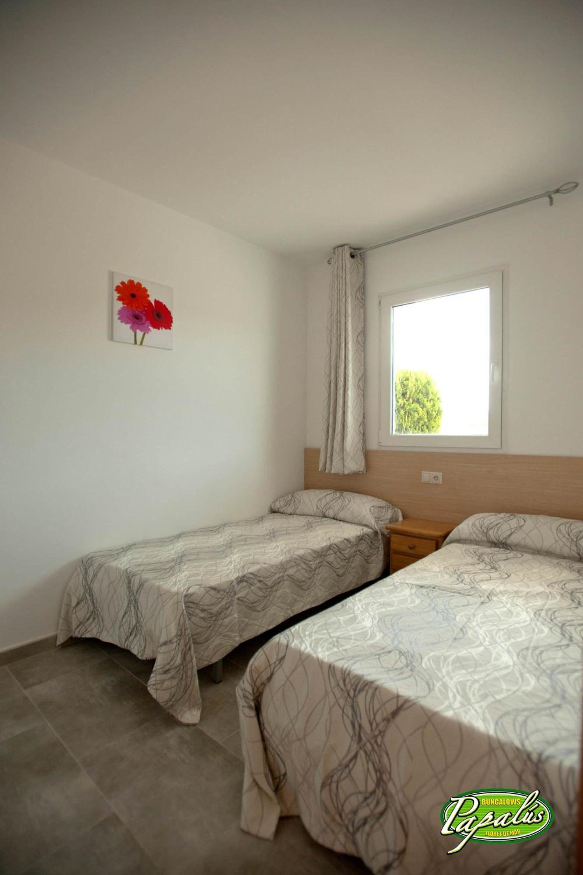 Bungalow de Dos Habitaciones (2-4 Adultos)